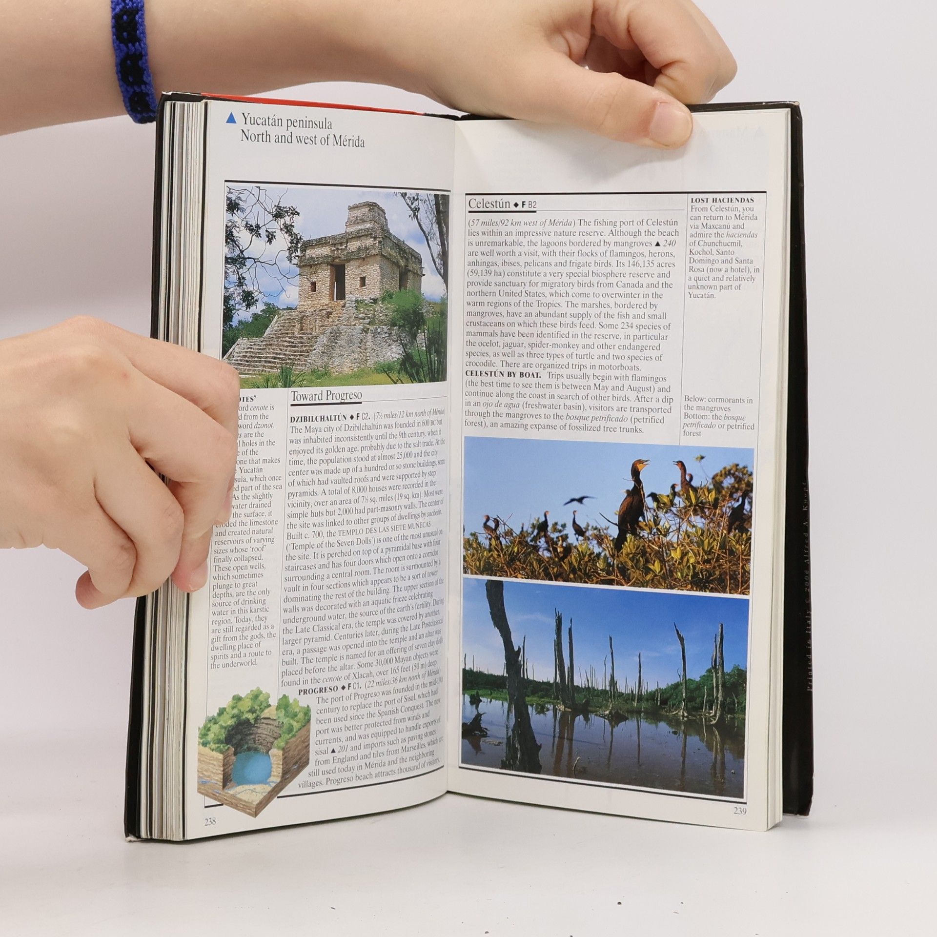 Joani Hocquenghem Knopf Guide Mexico