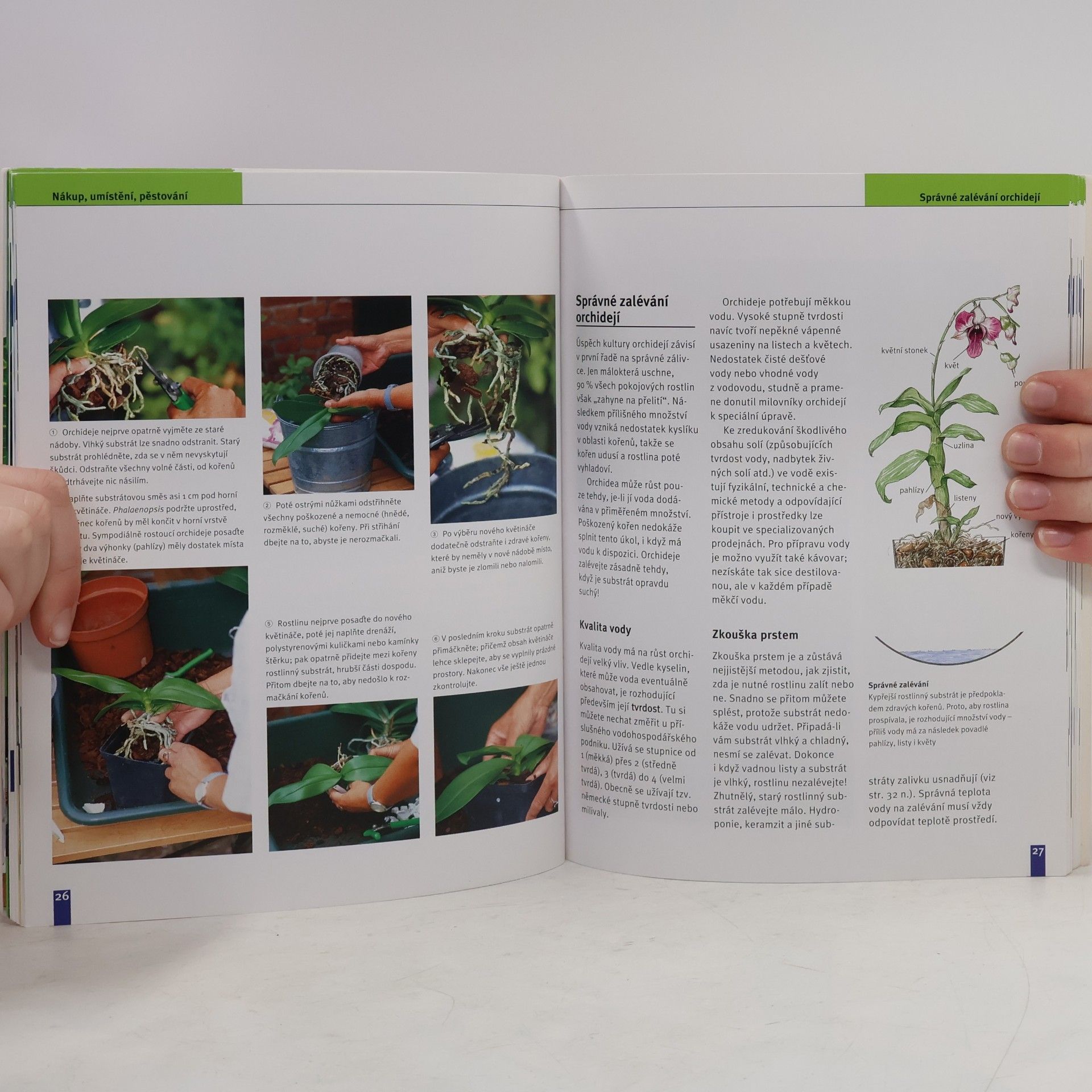 Jörn Pinske Orchideje. Nejkrásnější druhy a hybridy. Výběr, pěstování