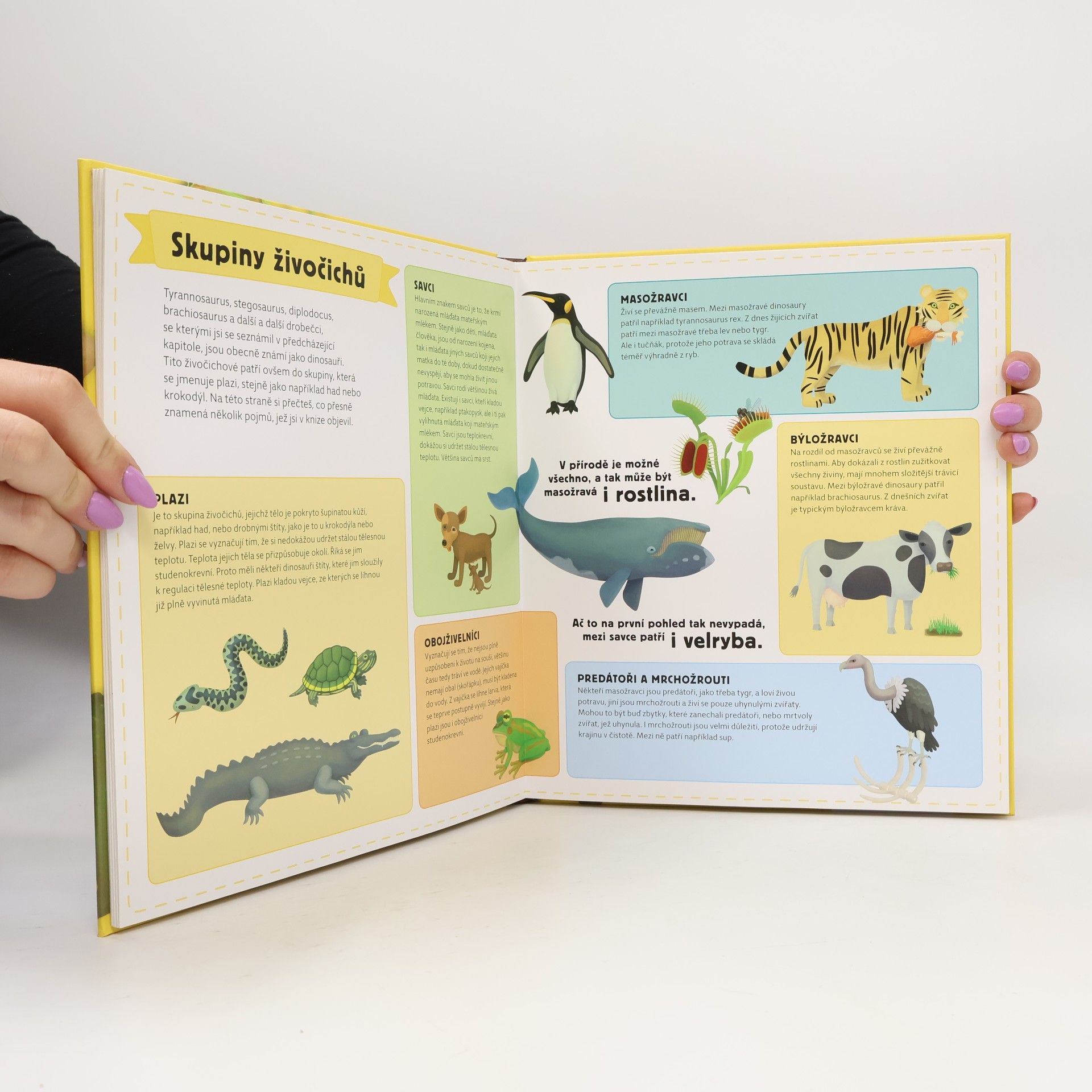 Tomáš Tůma Atlas prehistorie pro děti. Od počátku Země po čtvrtohory