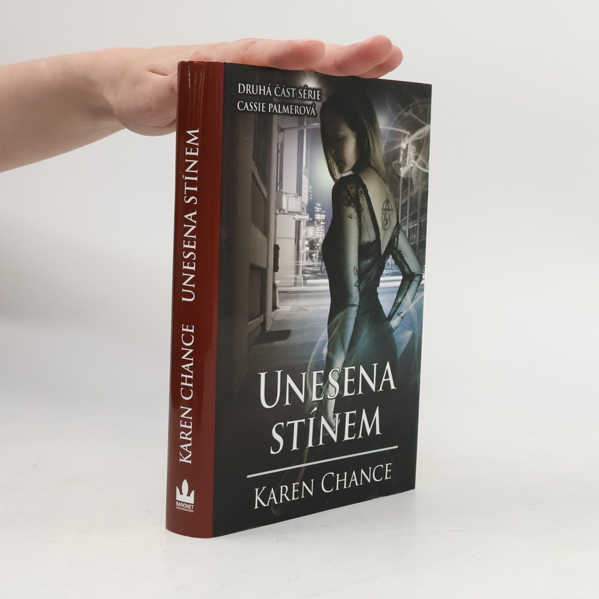 Karen Chance Unesena stínem