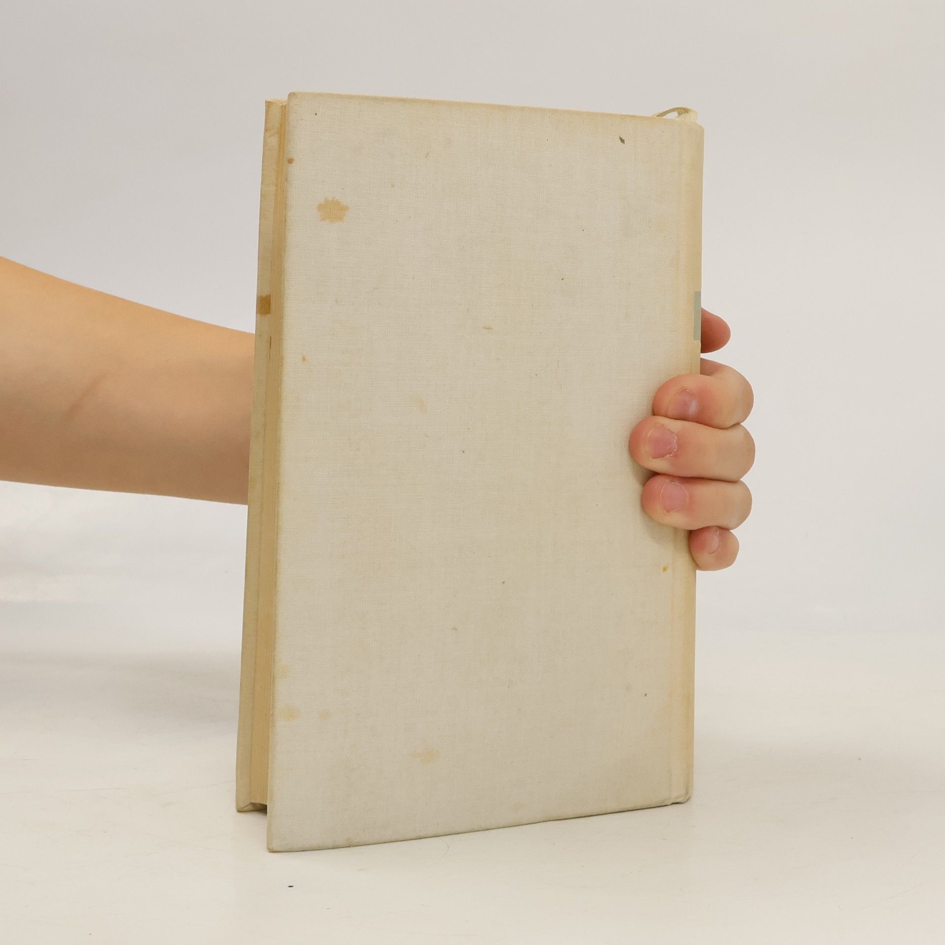 Theodor Storm Novellen der Liebe