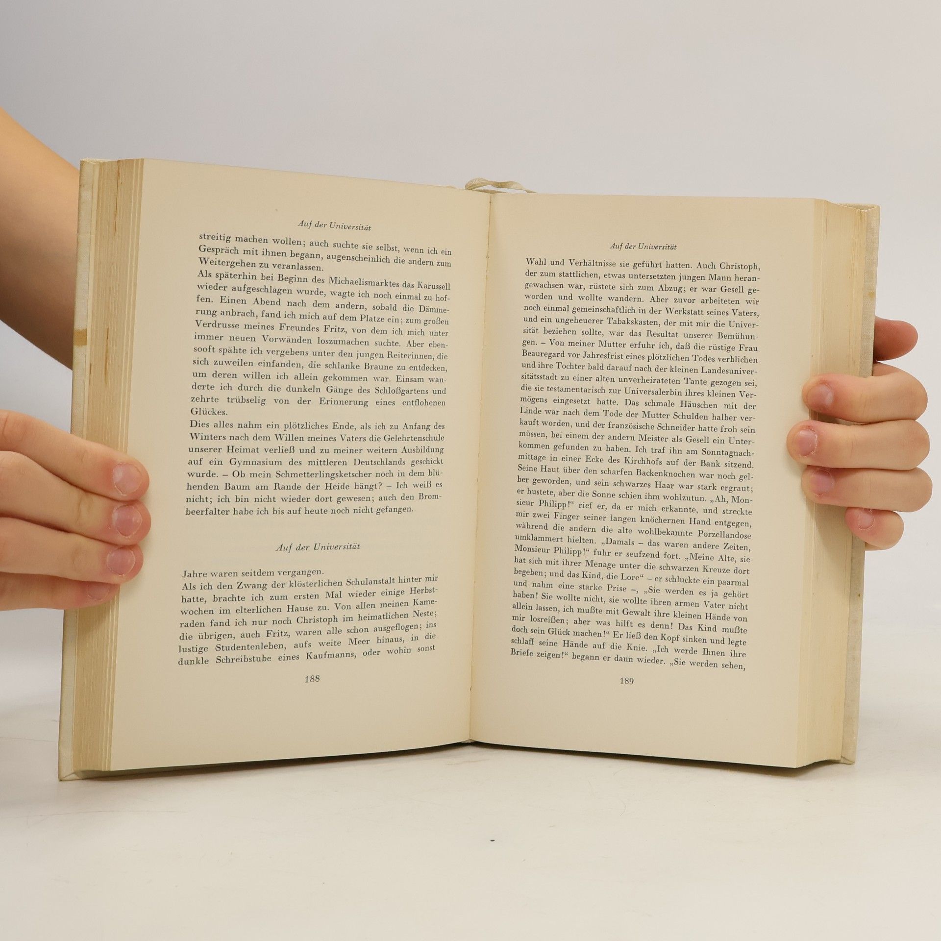 Theodor Storm Novellen der Liebe