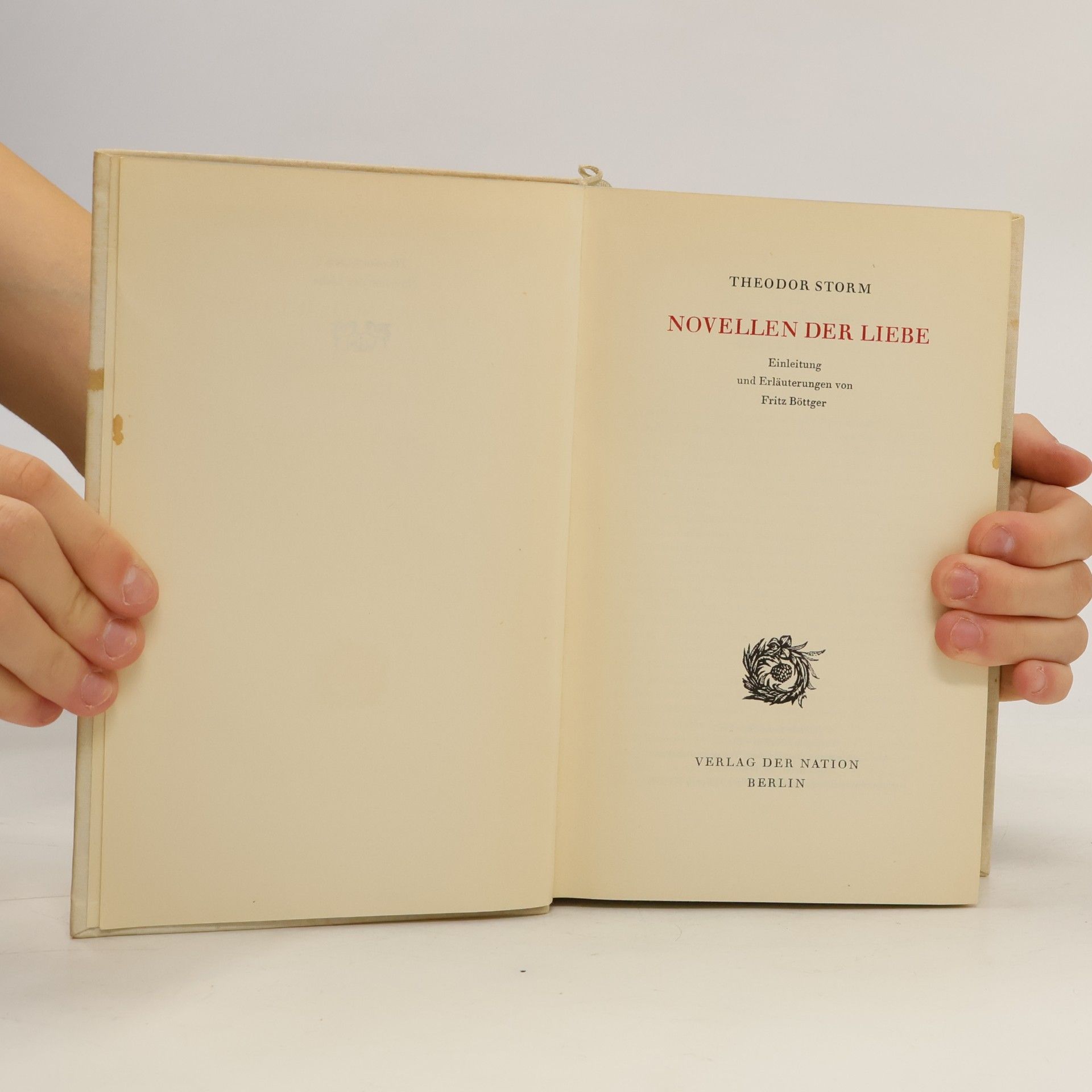 Theodor Storm Novellen der Liebe