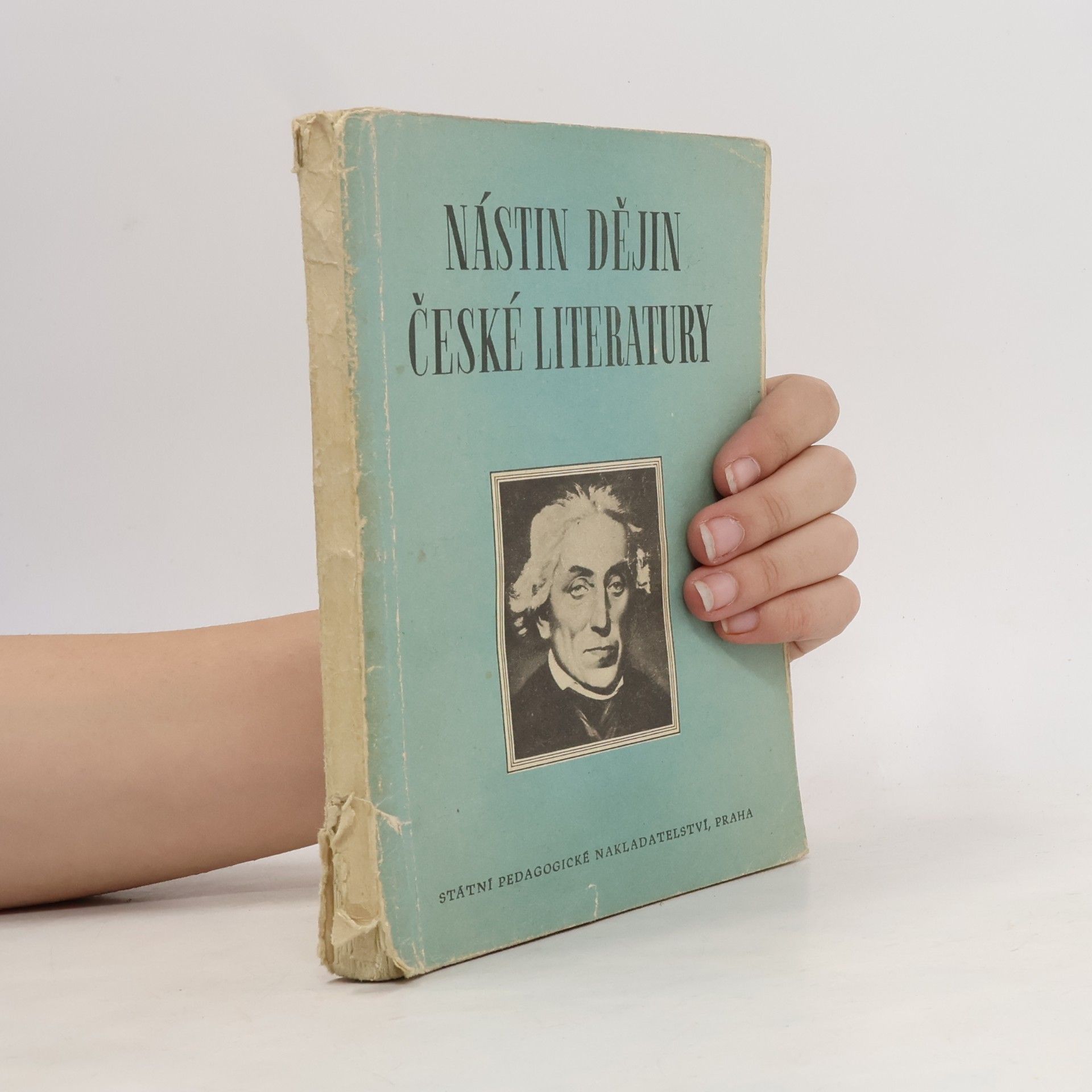 Nástin dějin české literatury