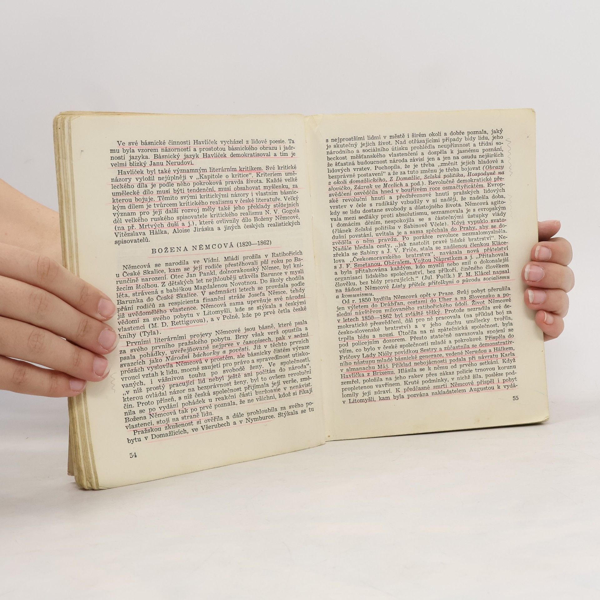 František Buriánek Nástin dějin české literatury