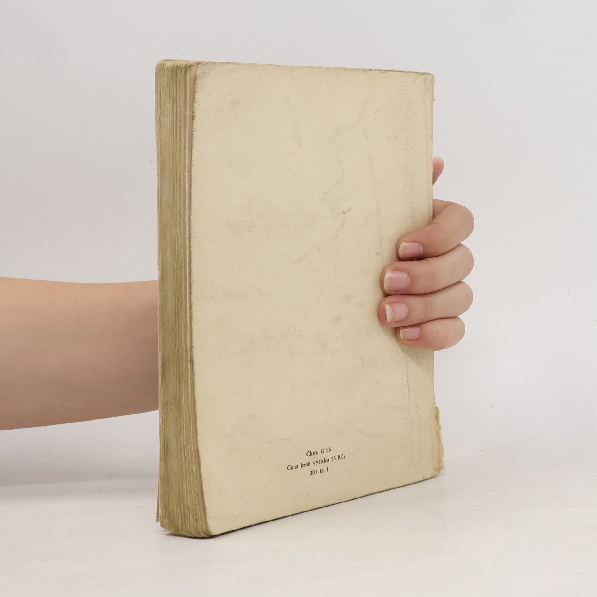František Buriánek Nástin dějin české literatury