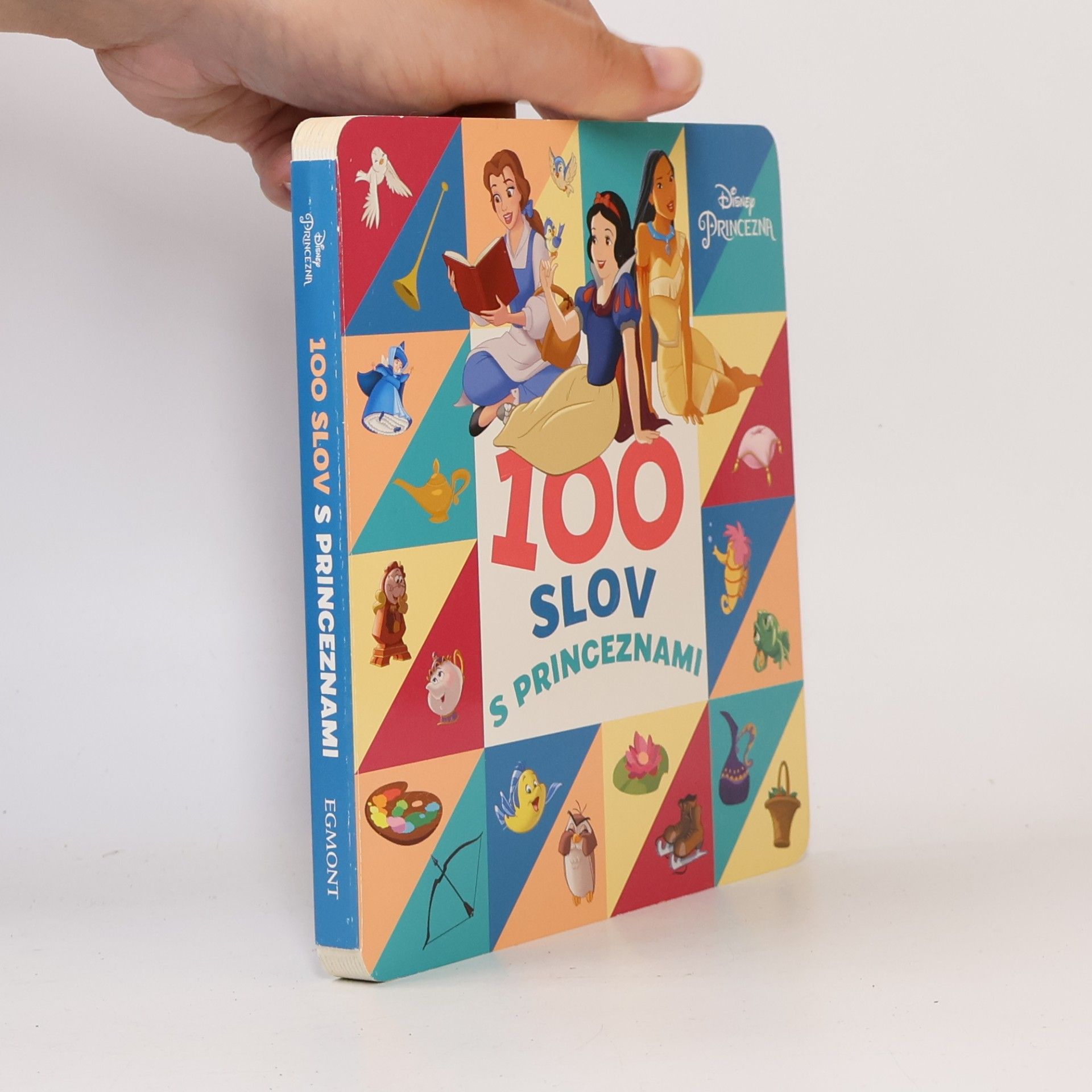 Autorenkollektiv 100 slov s princeznami
