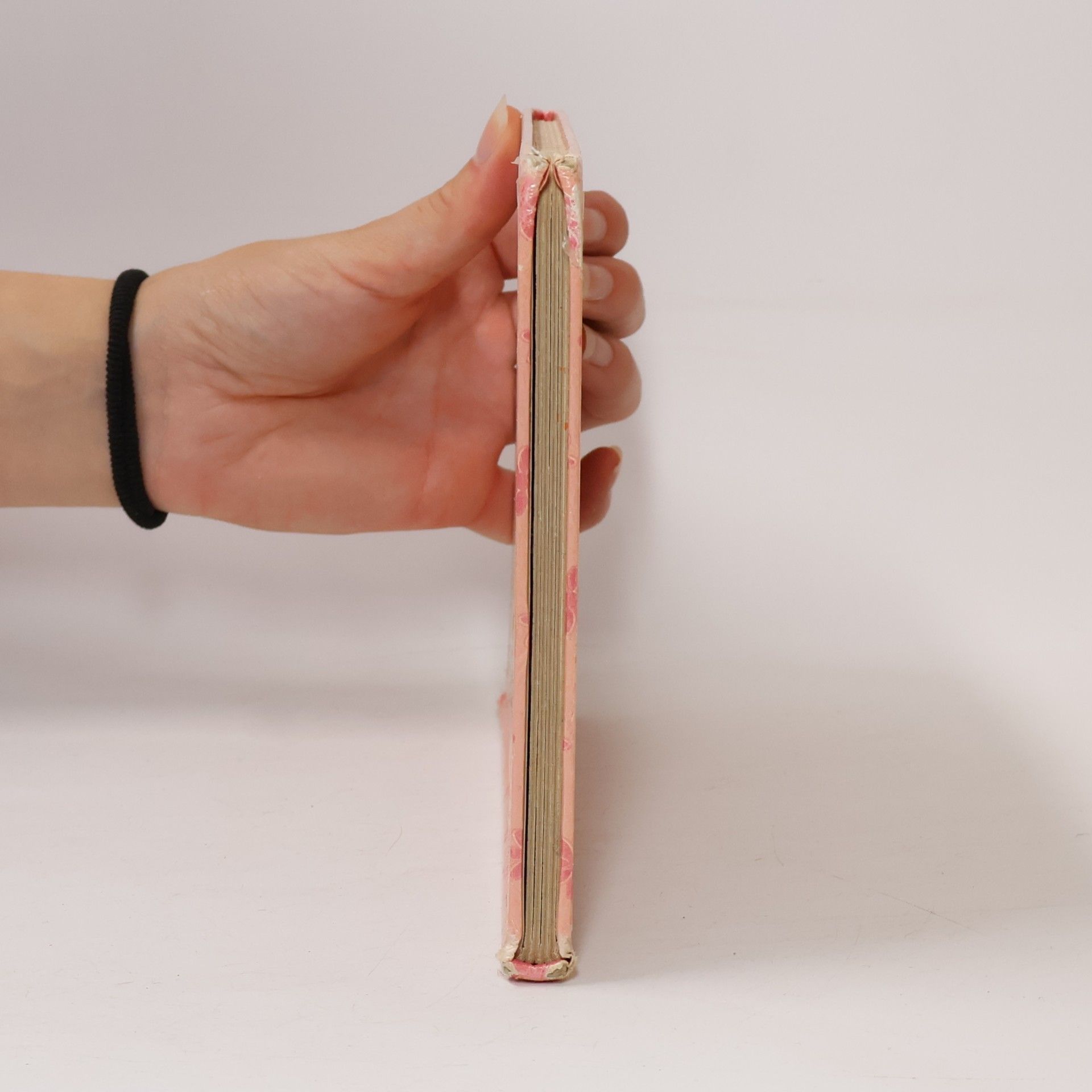 Josef Vyskočil Učíme se s méďou první slůvka. Jaro s méďou