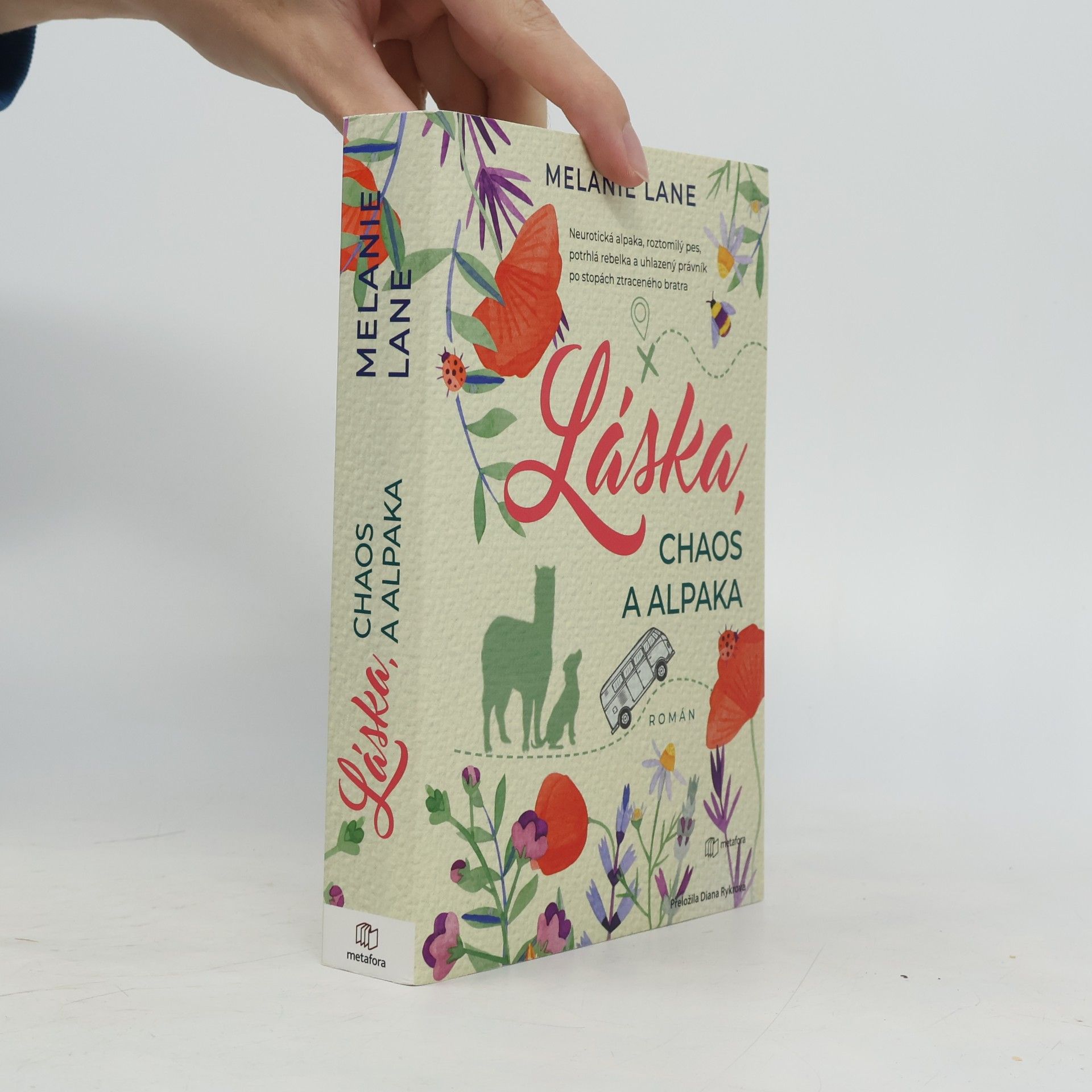 Láska, chaos a alpaka