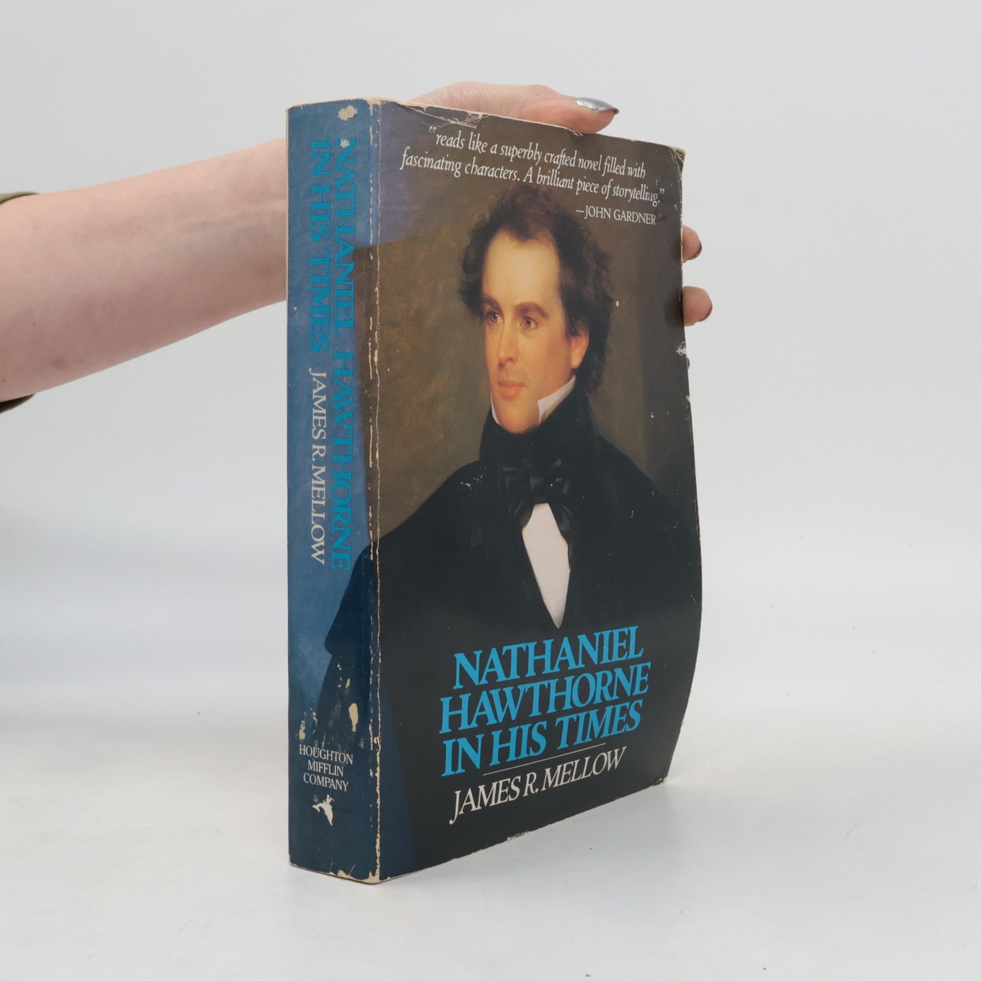 Nathaniel Hawthorne in His Times