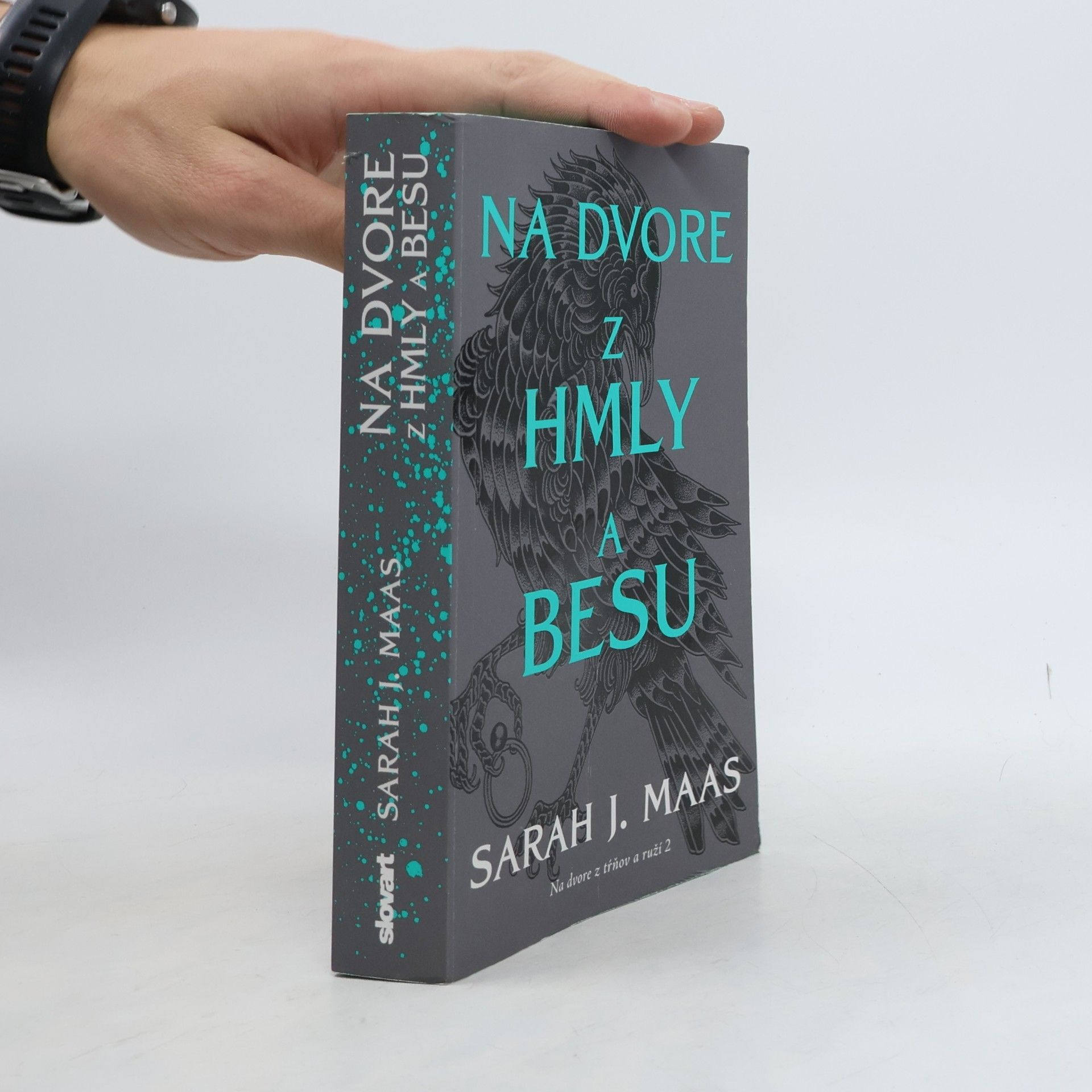 Na dvore z hmly a besu