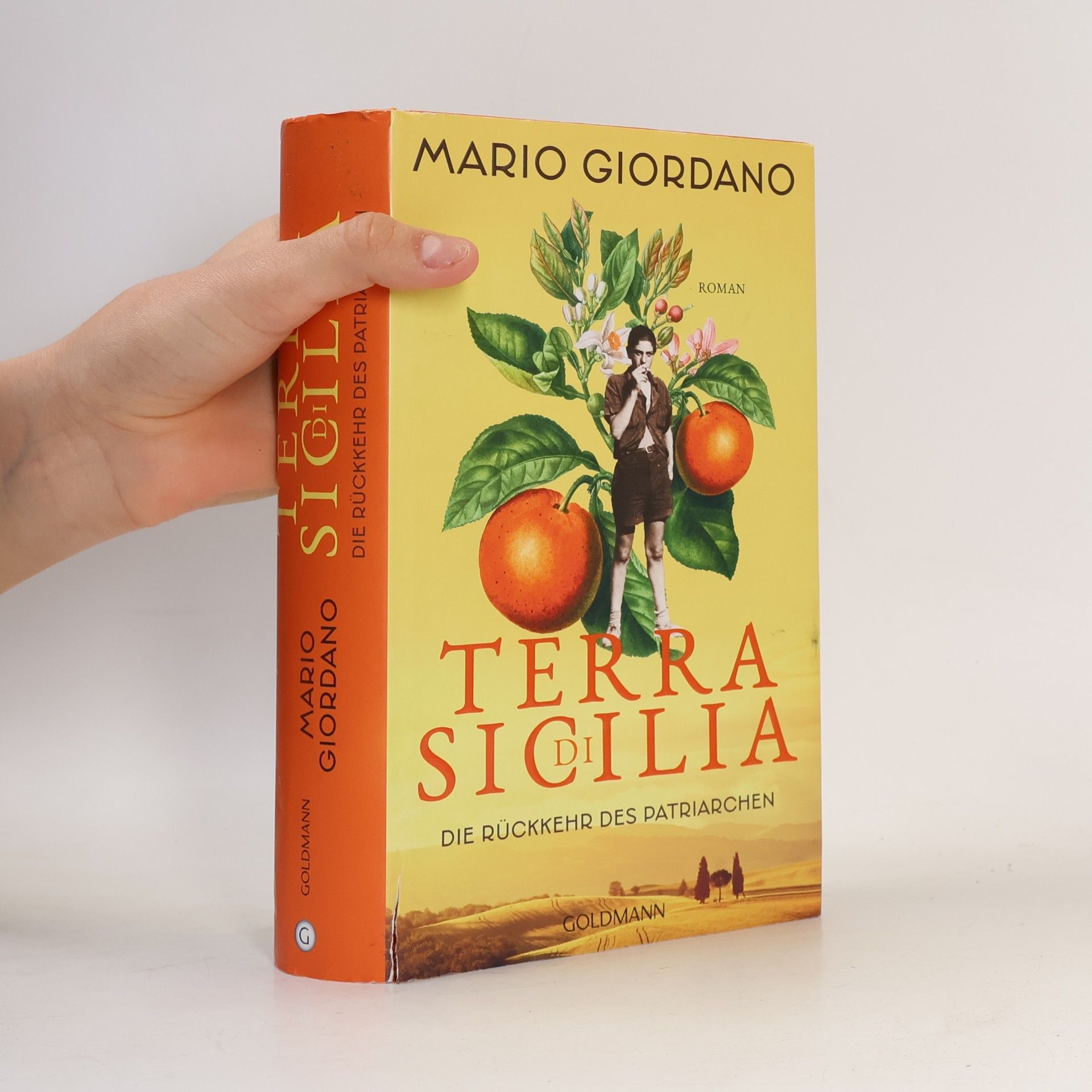 Mario Giordano Terra di Sicilia - die Rückkehr des Patriarchen