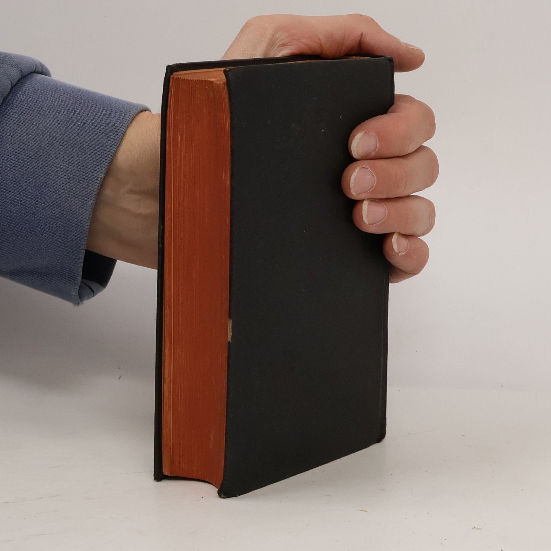 Martin Luther Die Bibel oder die ganze Heilige Schrift des Alten u. Neuen Testaments