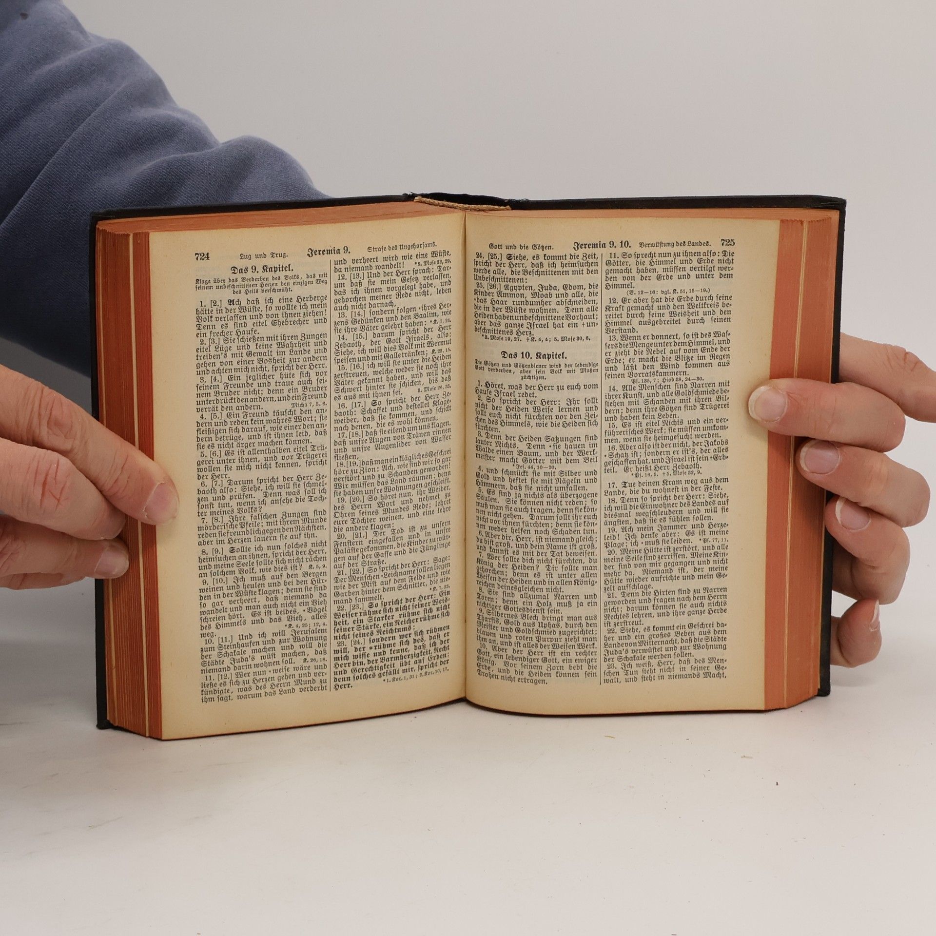 Martin Luther Die Bibel oder die ganze Heilige Schrift des Alten u. Neuen Testaments