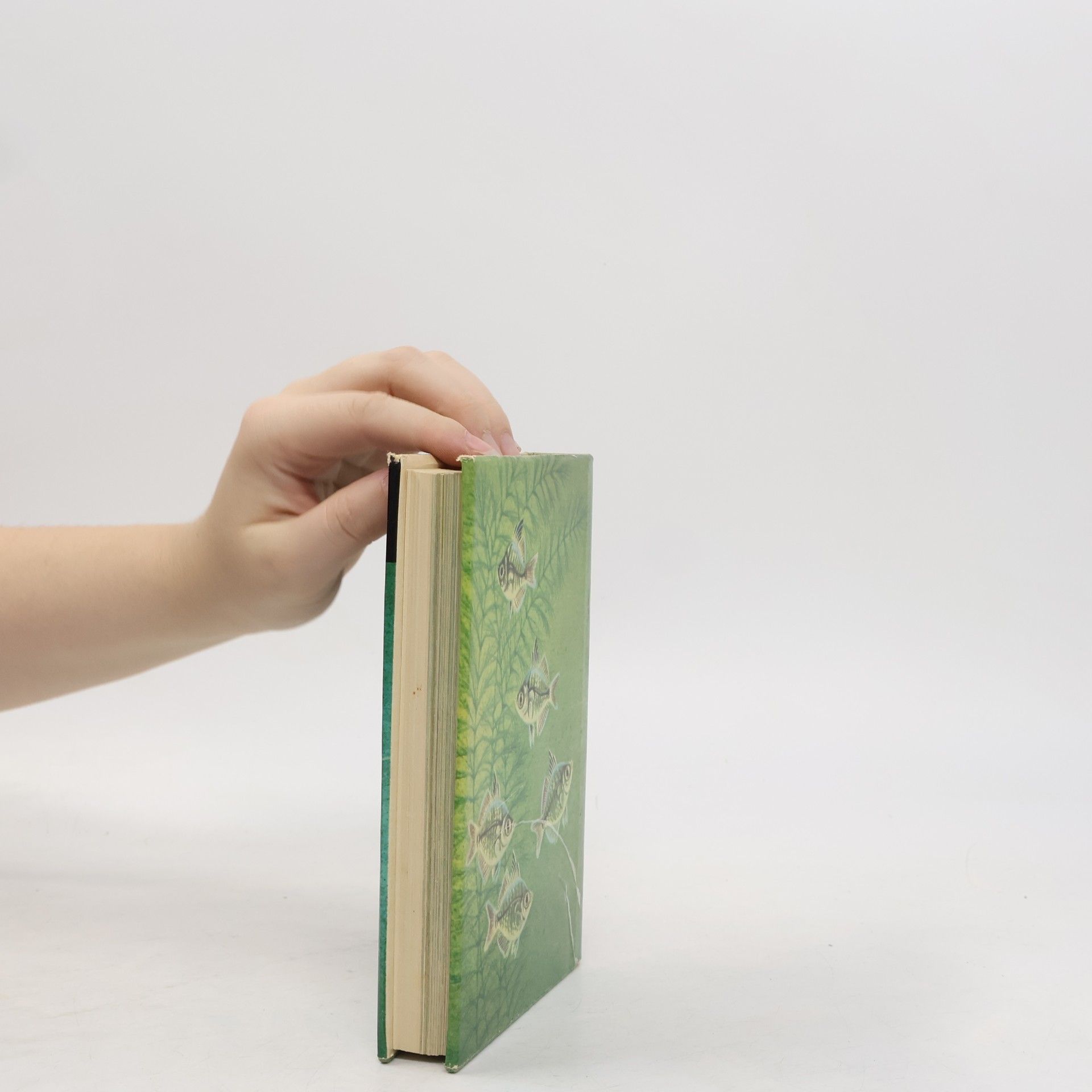 Zdeněk Vogel Taschenatlas der Aquarienfische