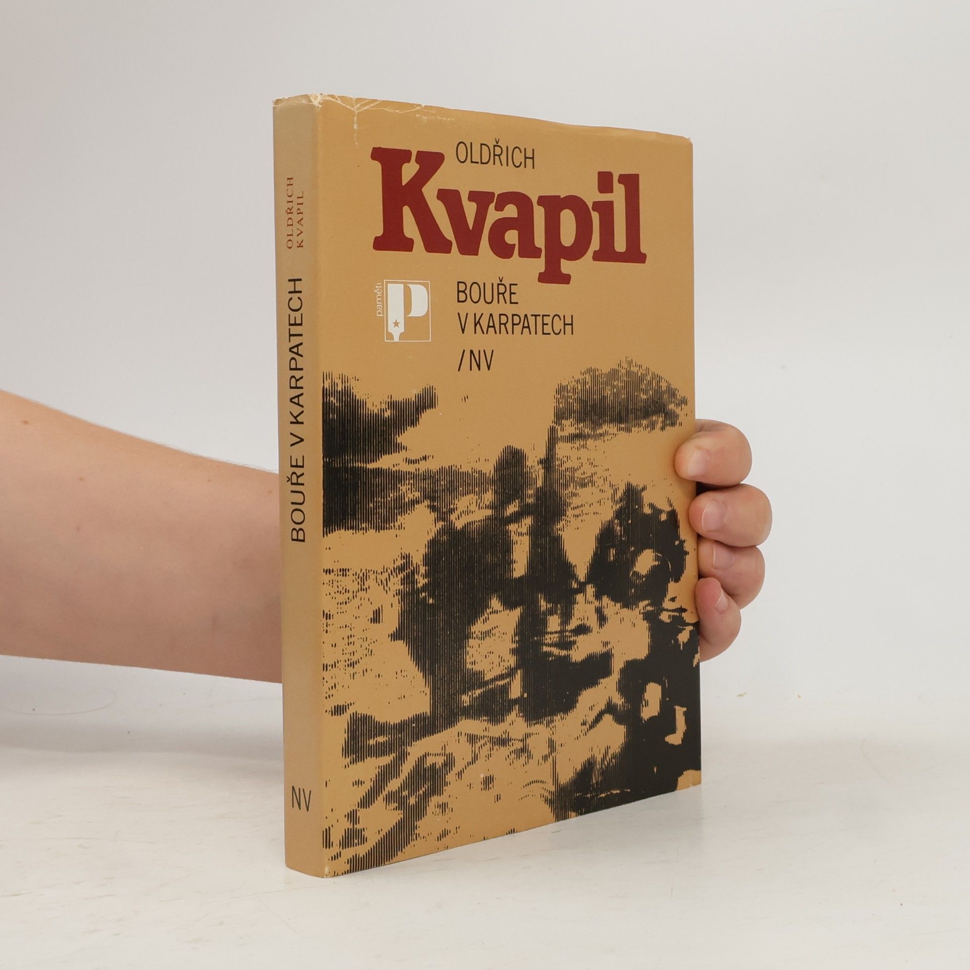 Bouře v Karpatech