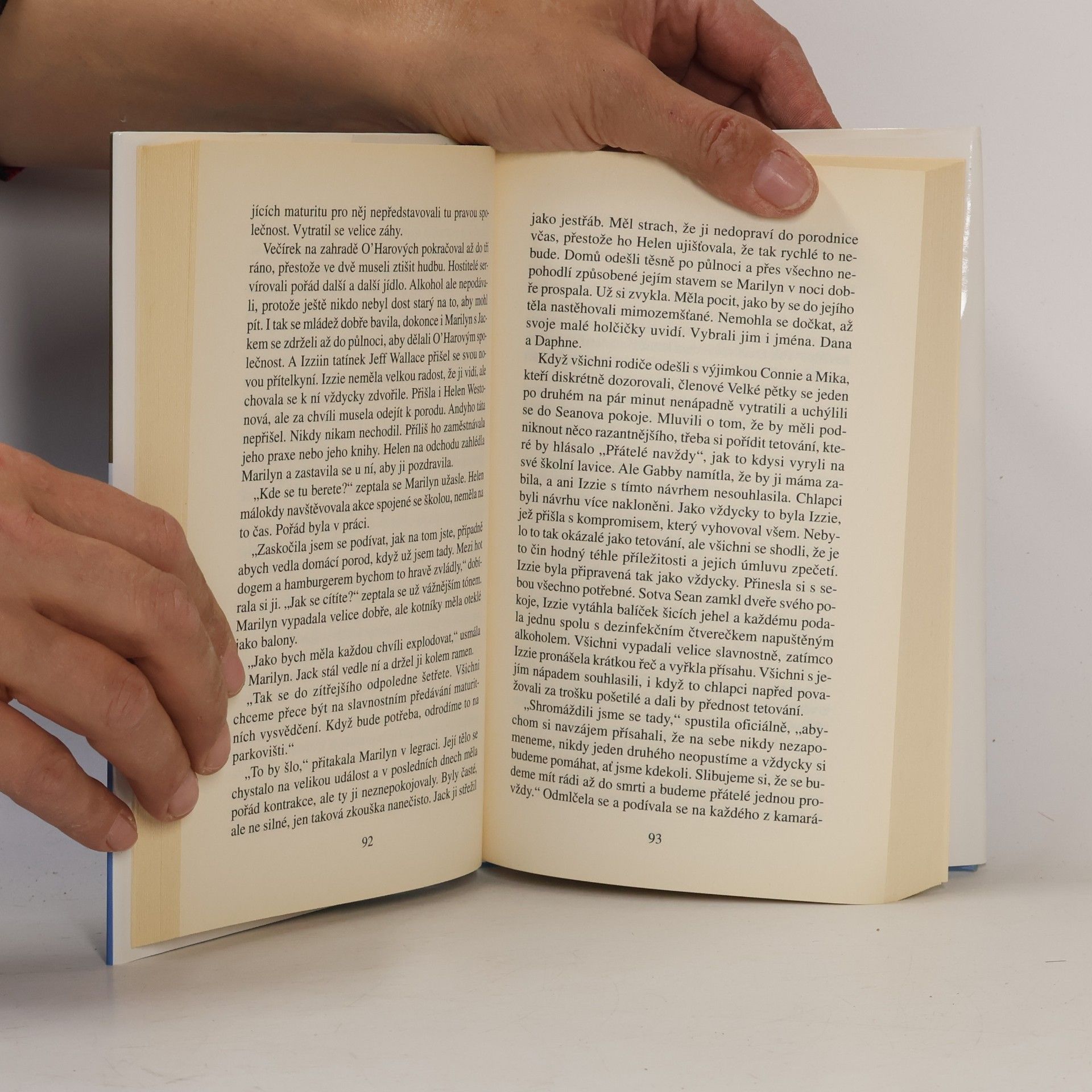Danielle Steel Přátelé navždy