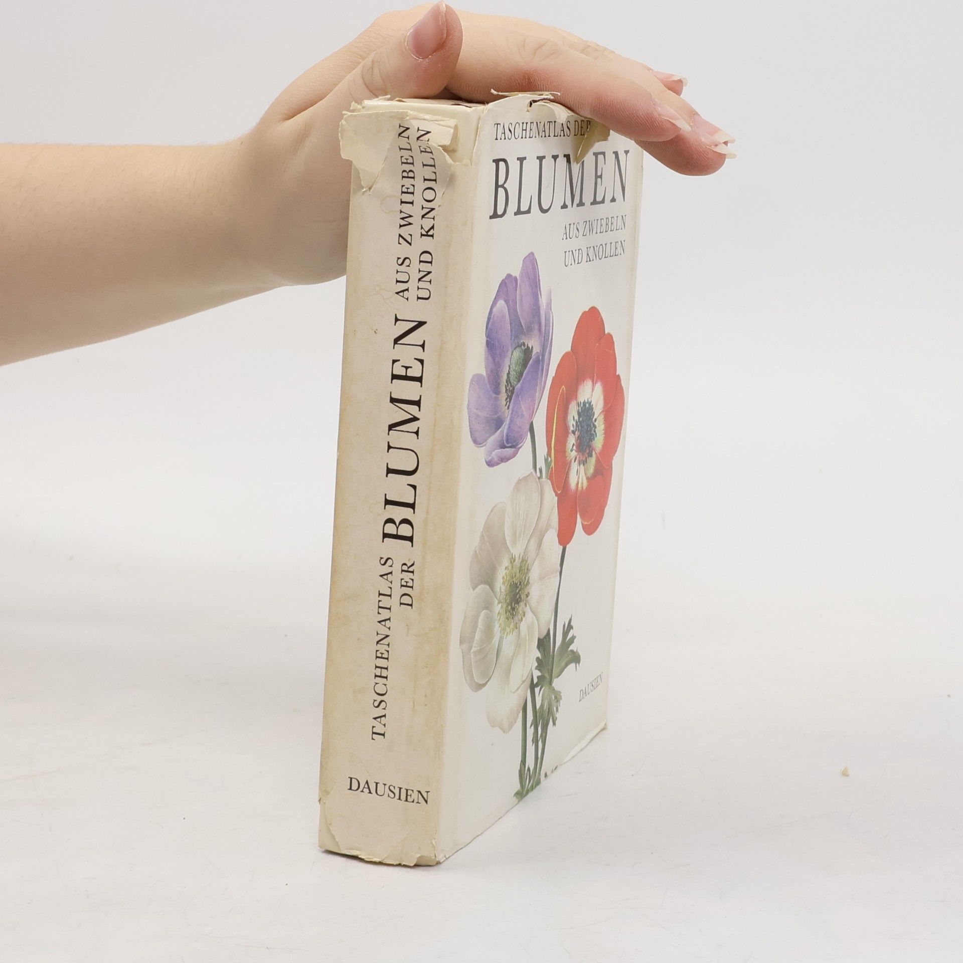 Taschenatlas der Blumen aus Zwiebeln und Knollen