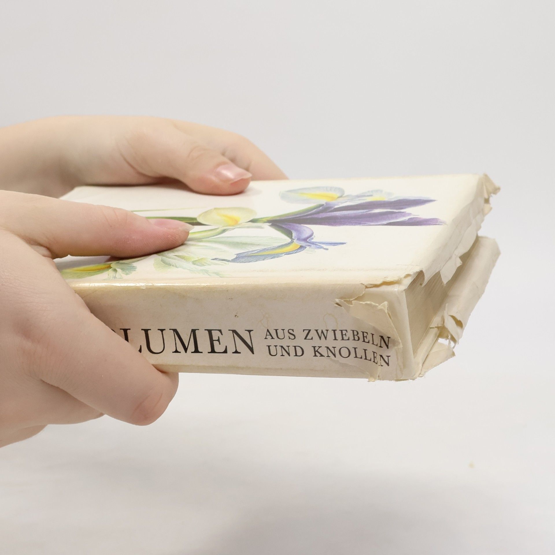 Eva Petrová Taschenatlas der Blumen aus Zwiebeln und Knollen
