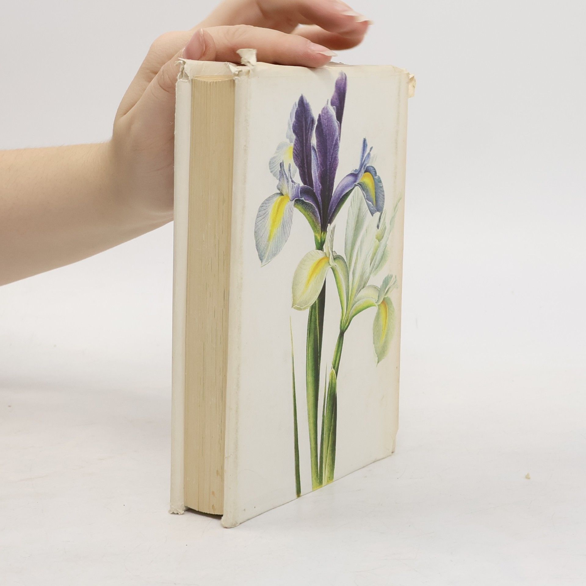 Eva Petrová Taschenatlas der Blumen aus Zwiebeln und Knollen