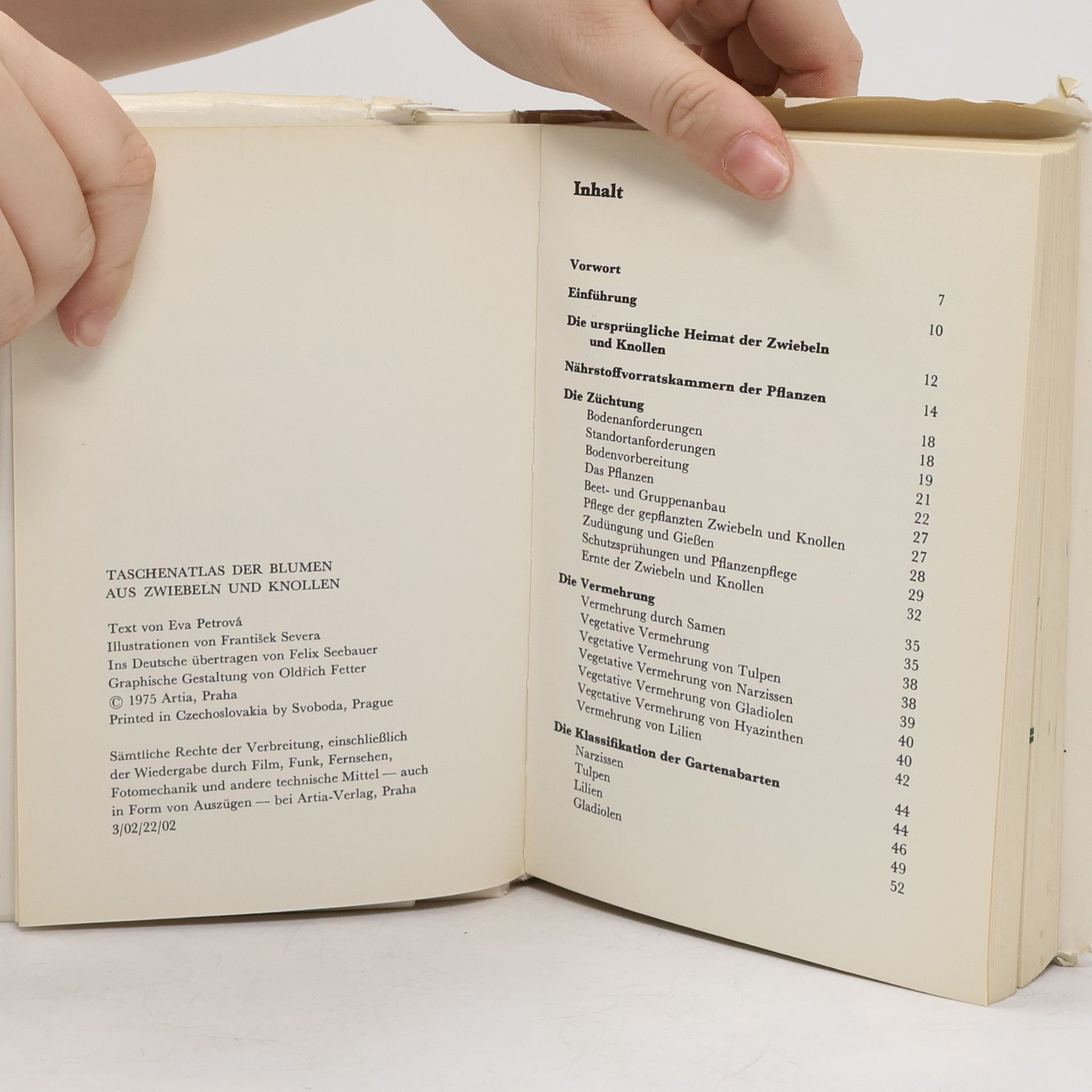 Eva Petrová Taschenatlas der Blumen aus Zwiebeln und Knollen