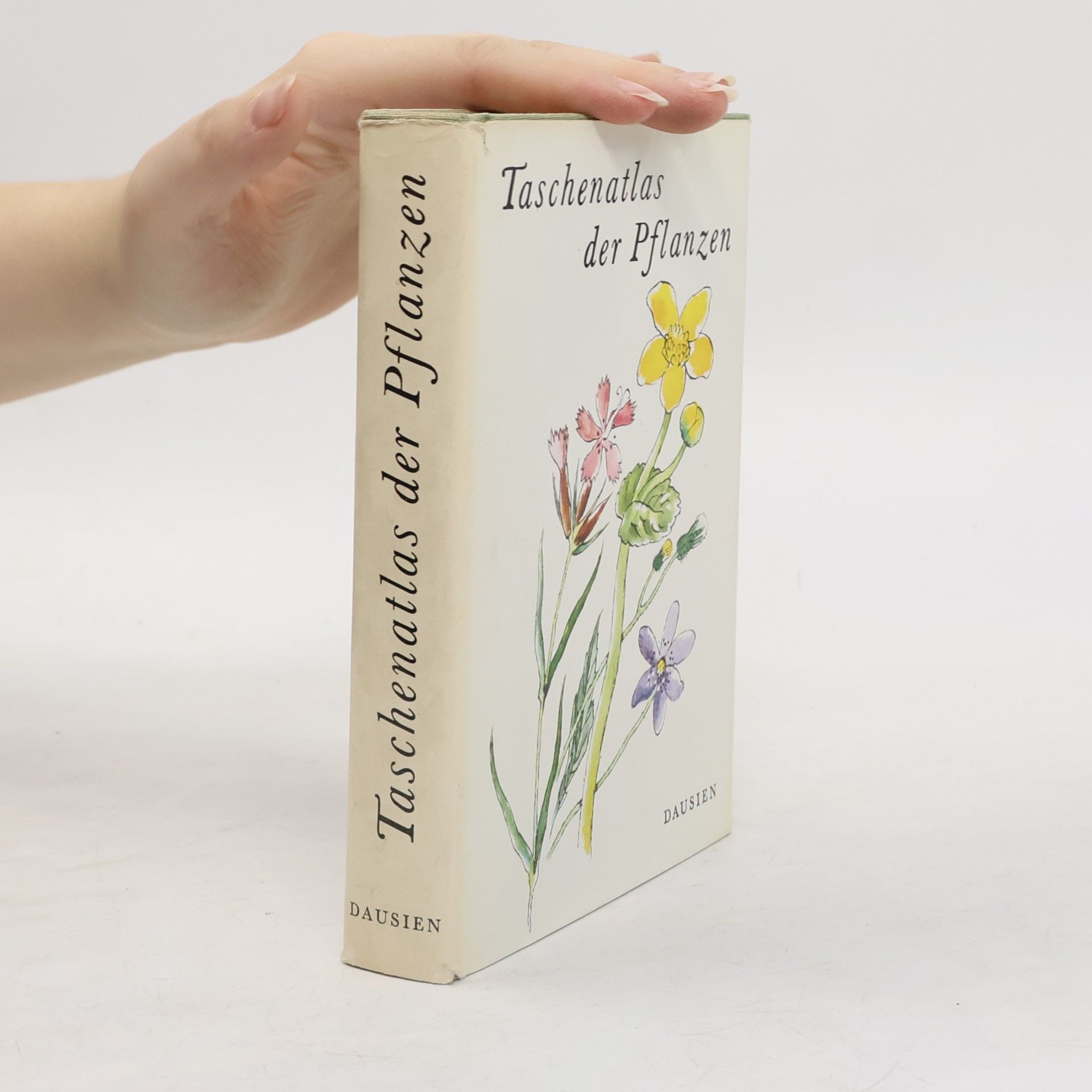 Taschenatlas der Pflanzen