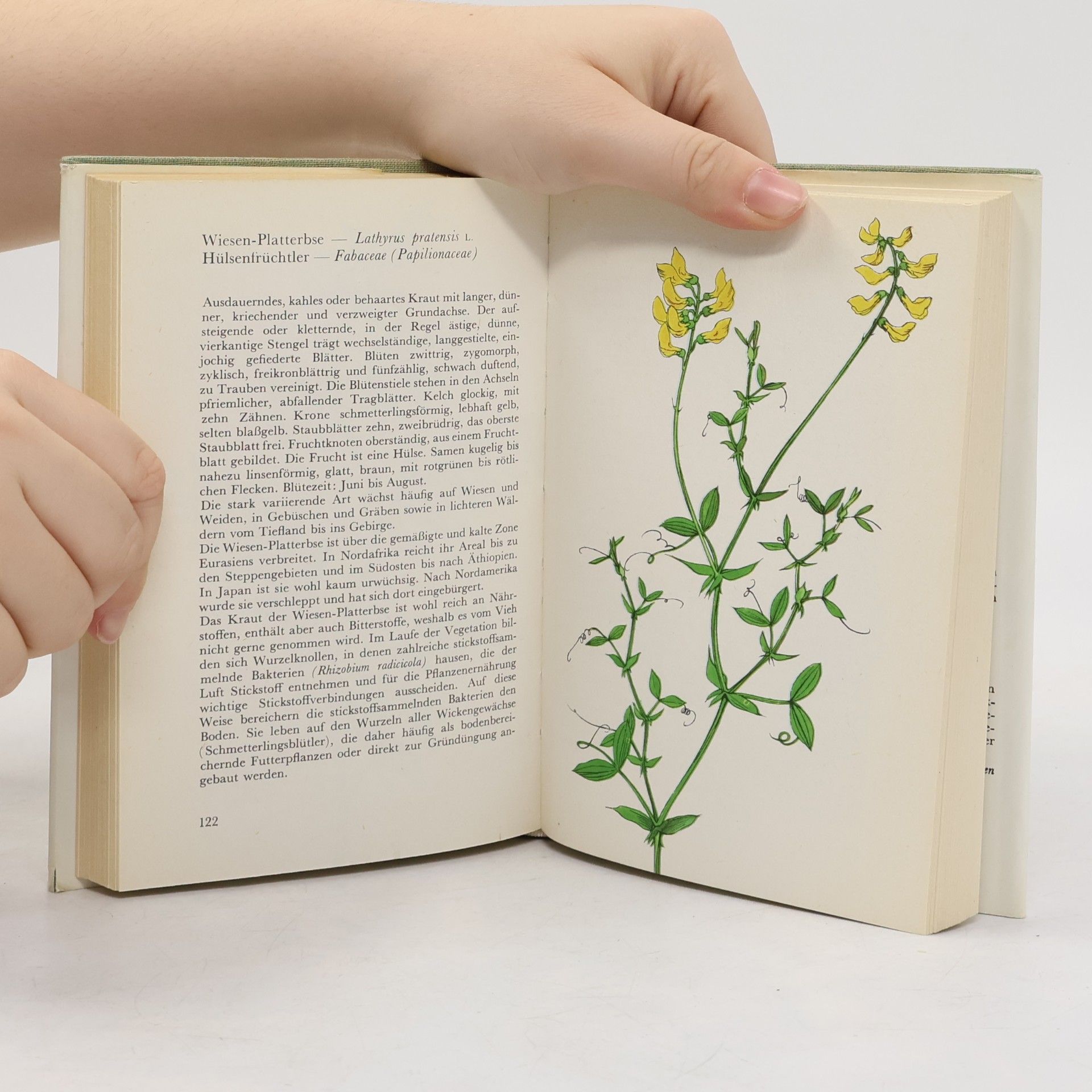 Karel Svolinský Taschenatlas der Pflanzen