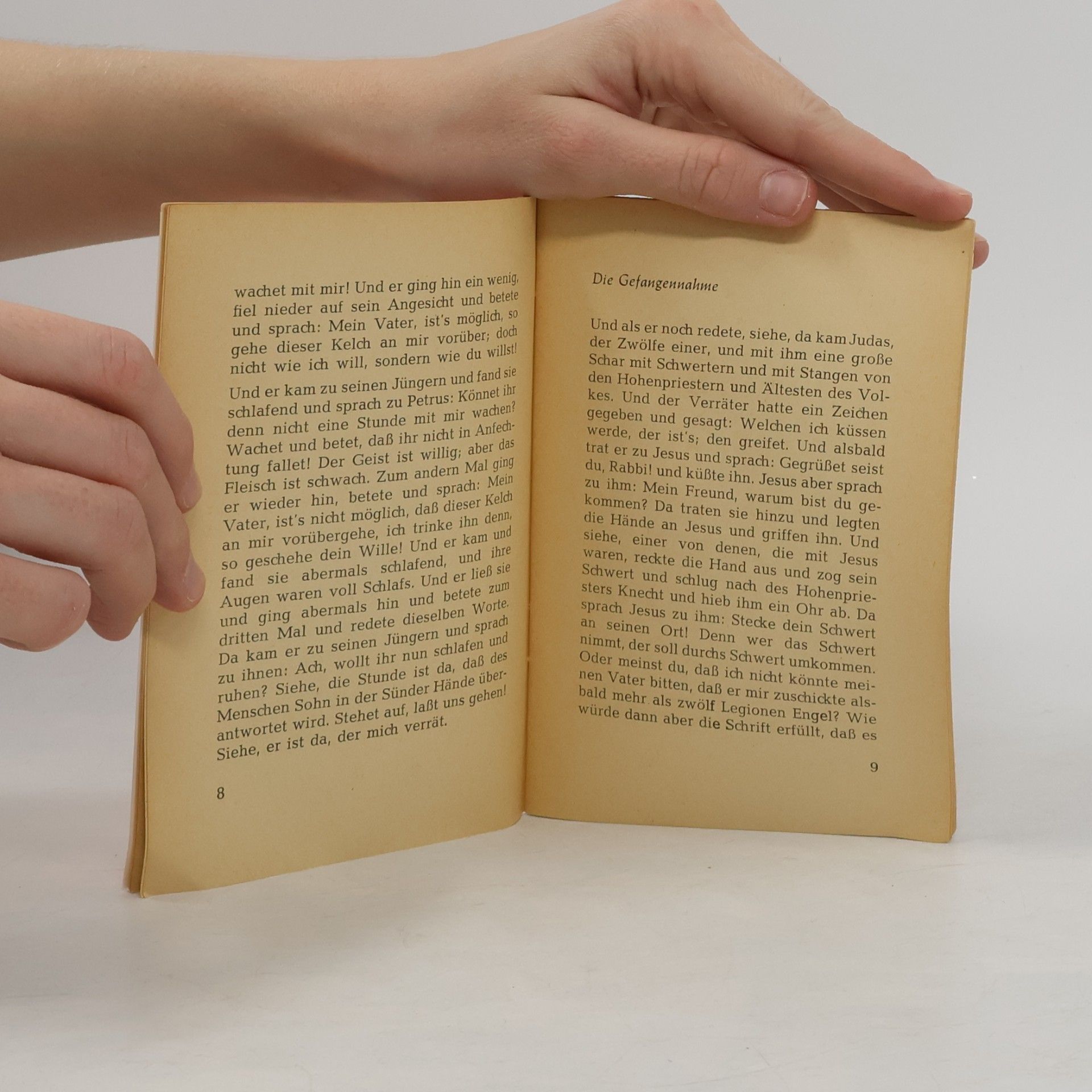 Various authors Die Passions- und Ostergeschichte der Bibel