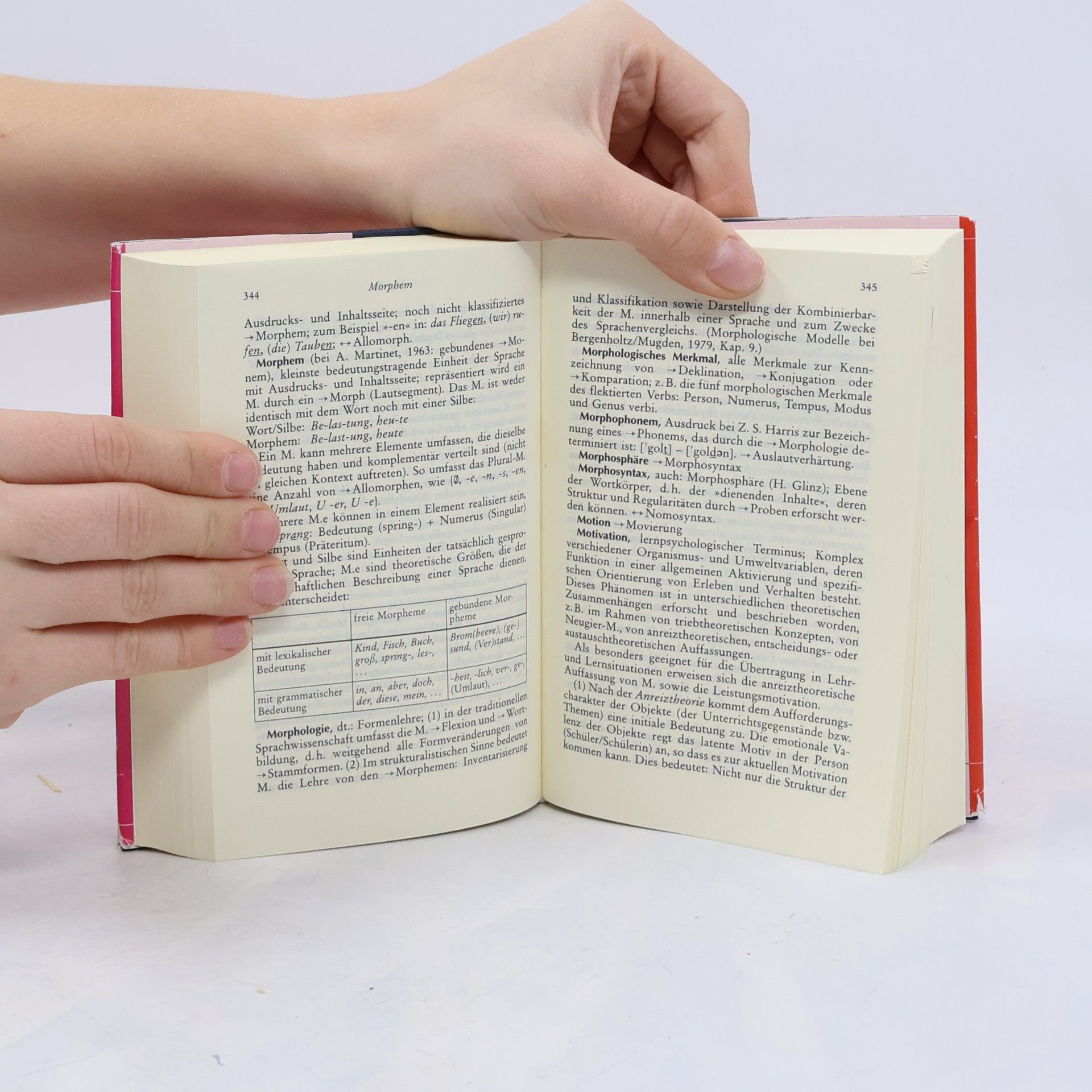 Dietrich Homberger Sachwörterbuch zur Sprachwissenschaft
