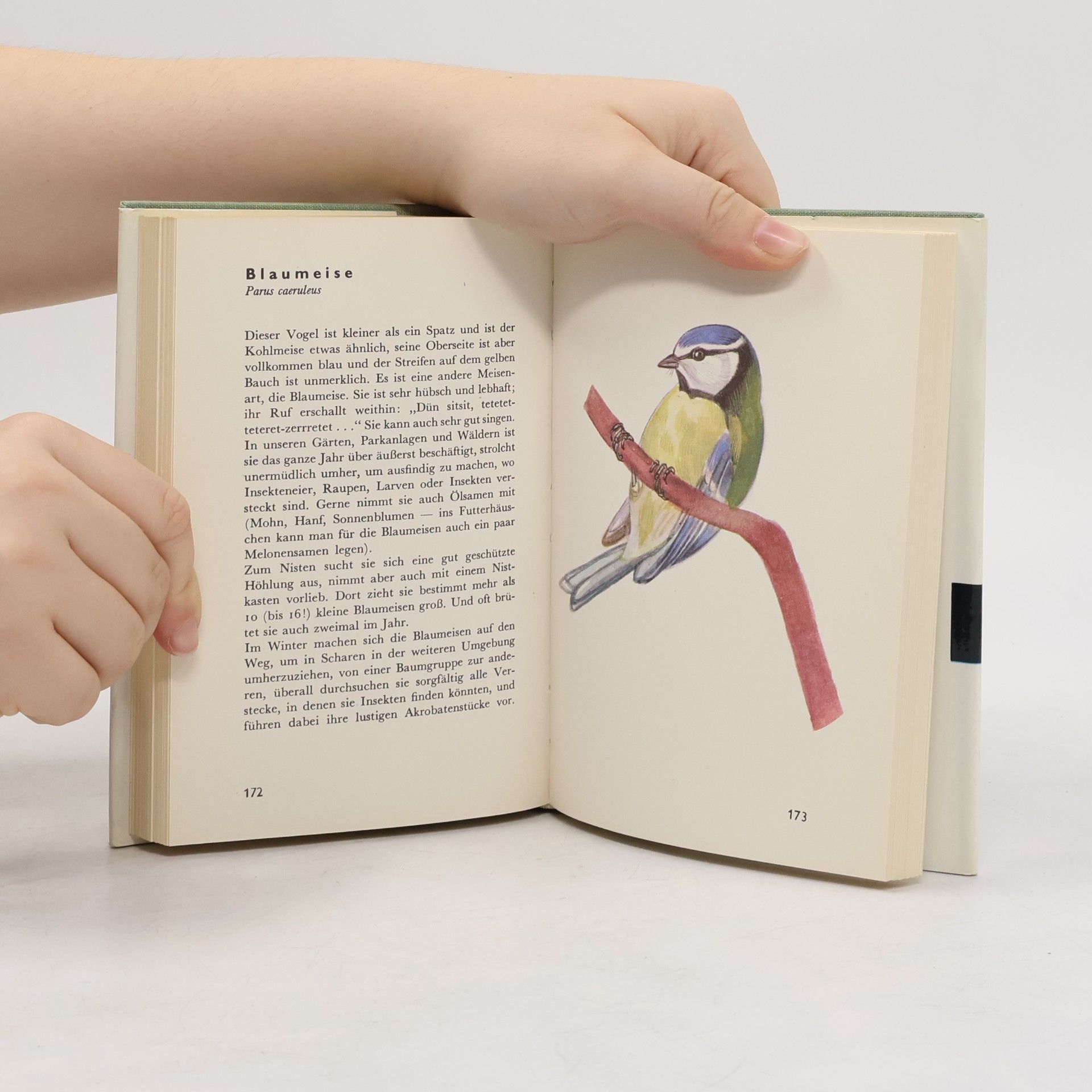 Jaroslav Spirhanzl Duriš Taschenatlas der Vögel