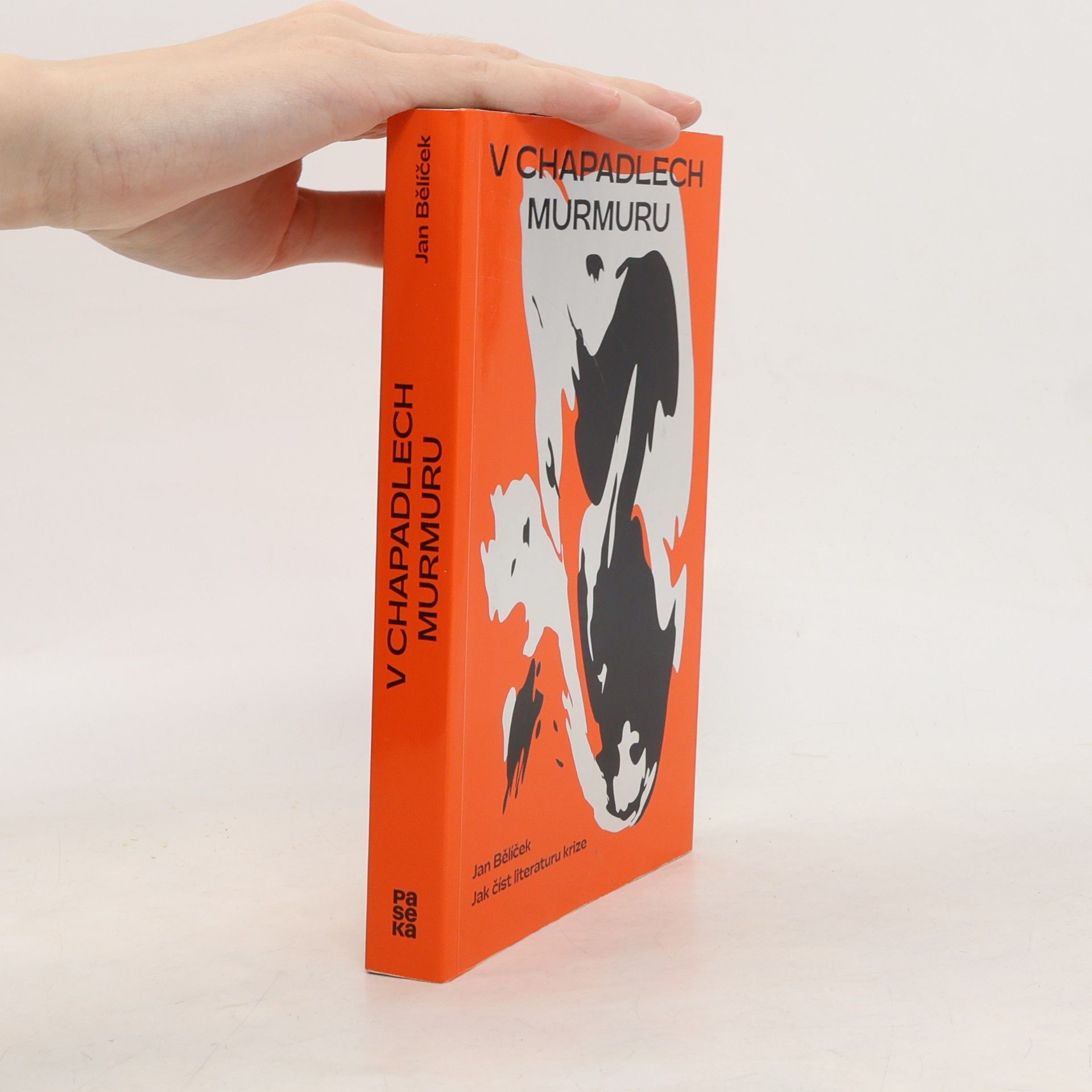 V chapadlech murmuru : jak číst literaturu krize