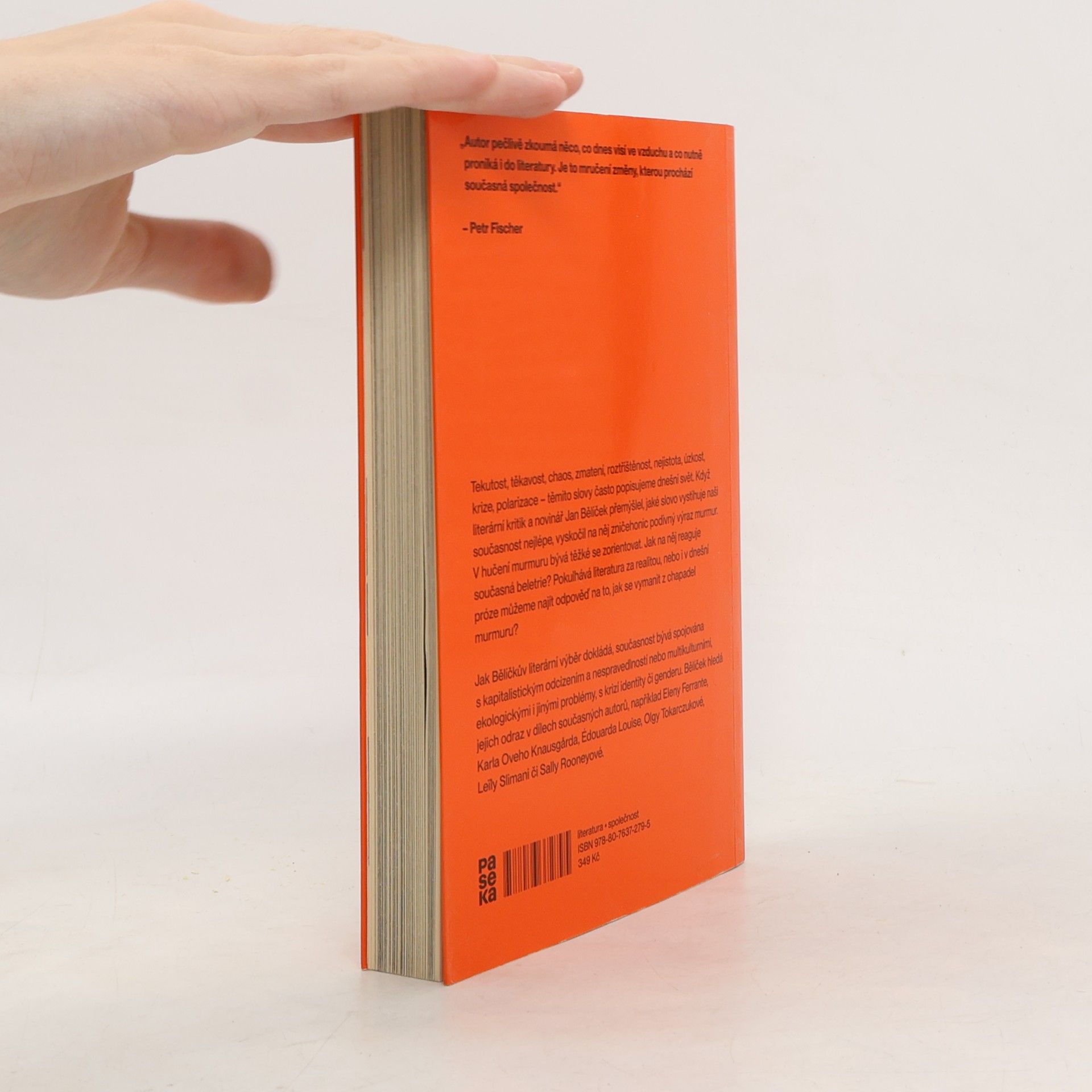 Jan Bělíček V chapadlech murmuru : jak číst literaturu krize