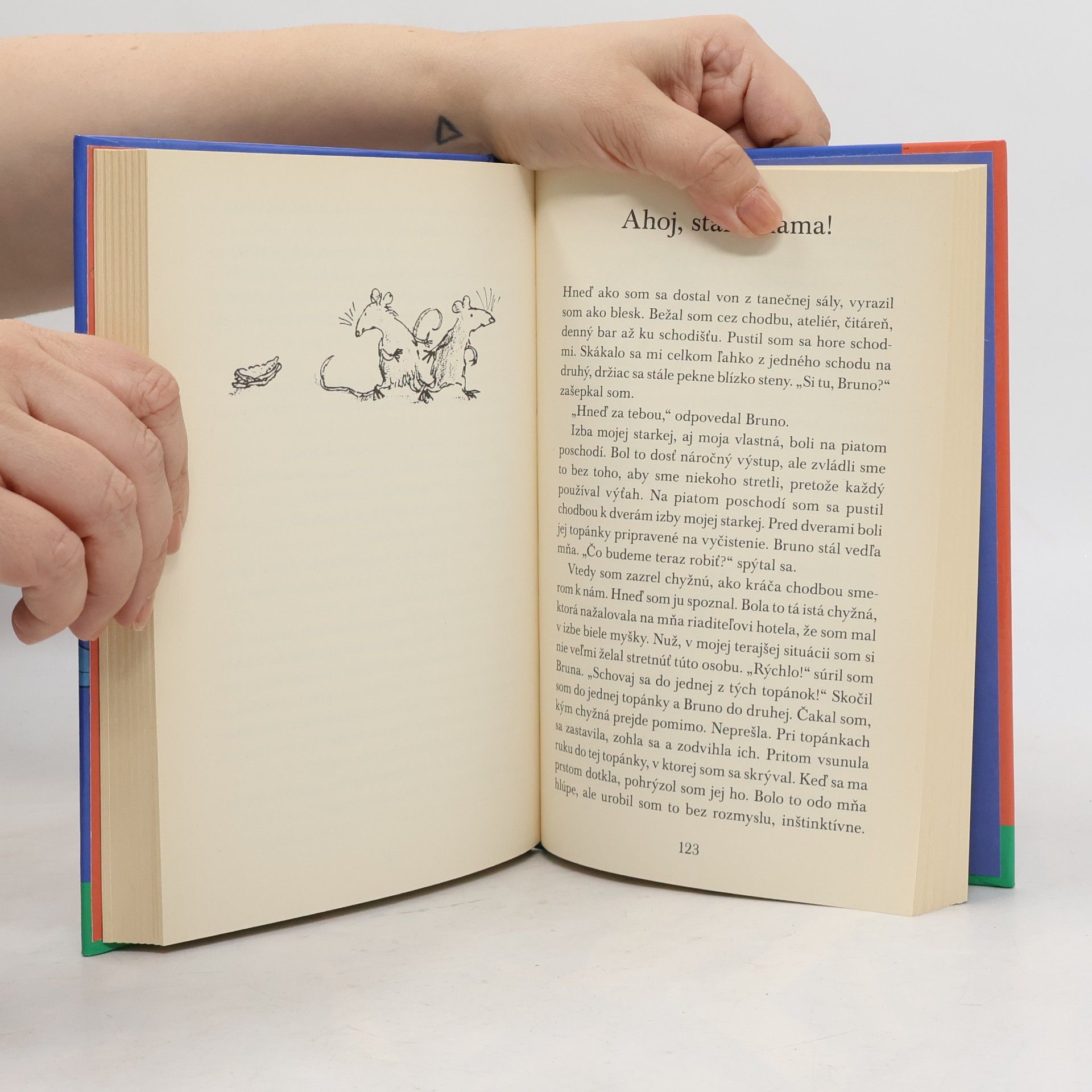 Roald Dahl Čarodejnice