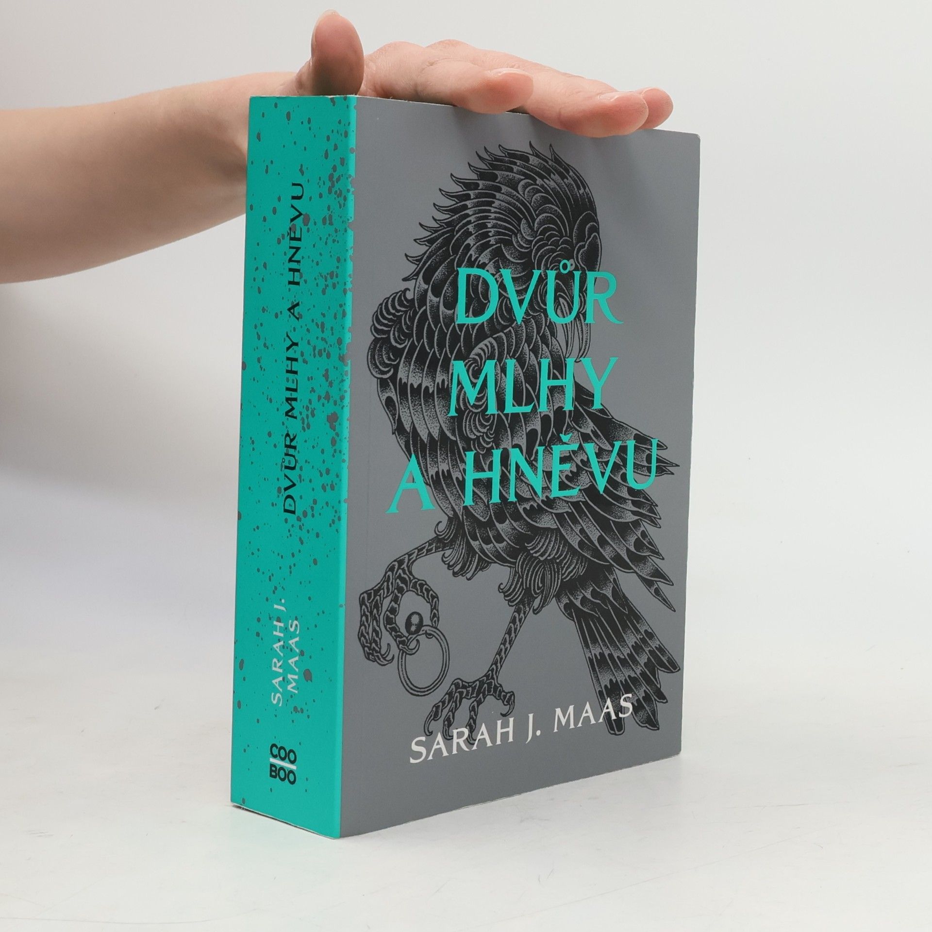 Sarah J. Maasová Dvůr mlhy a hněvu
