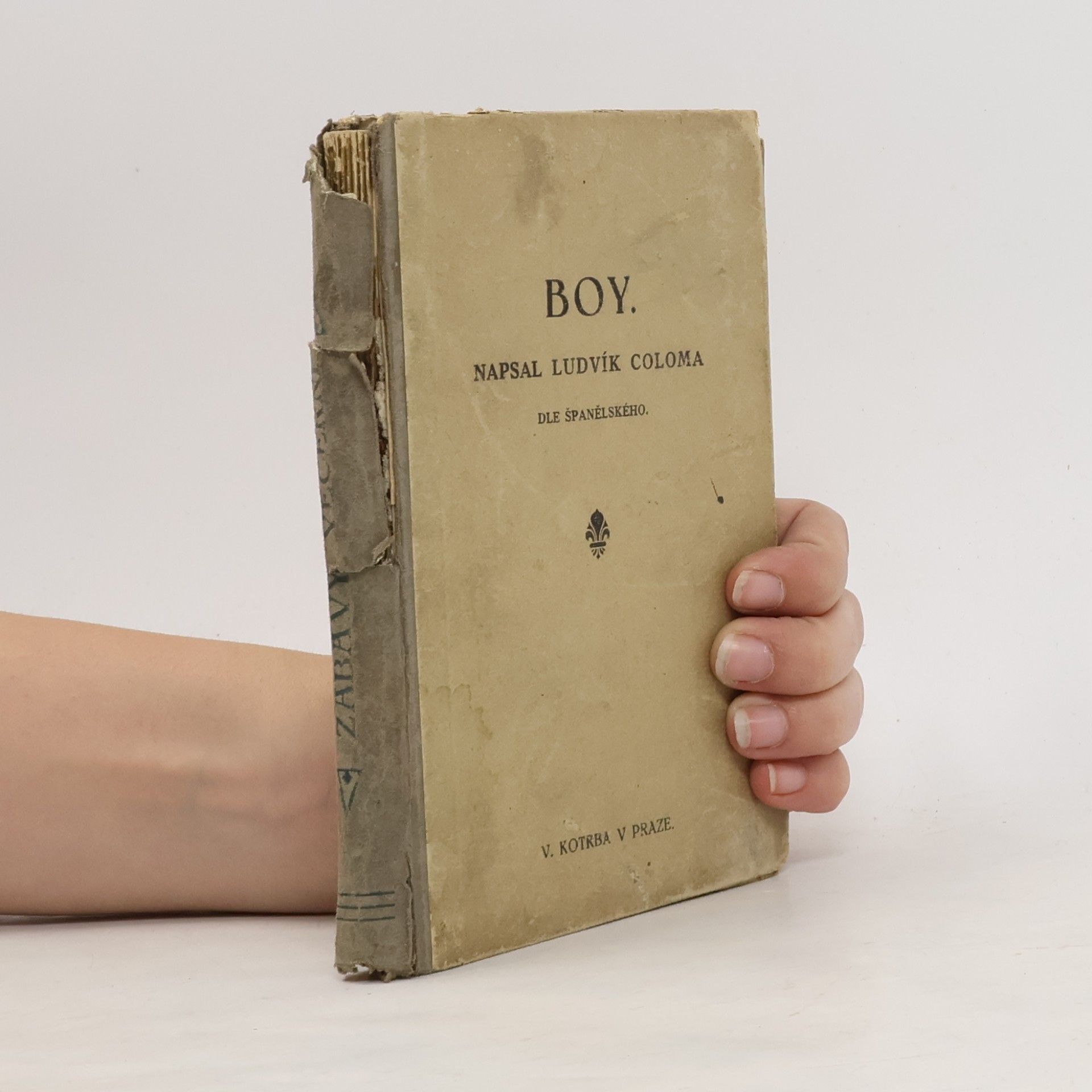 Boy
