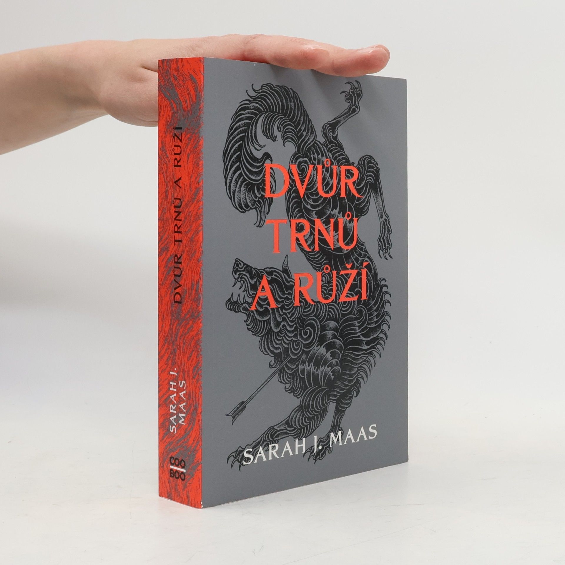 Dvůr trnů a růží