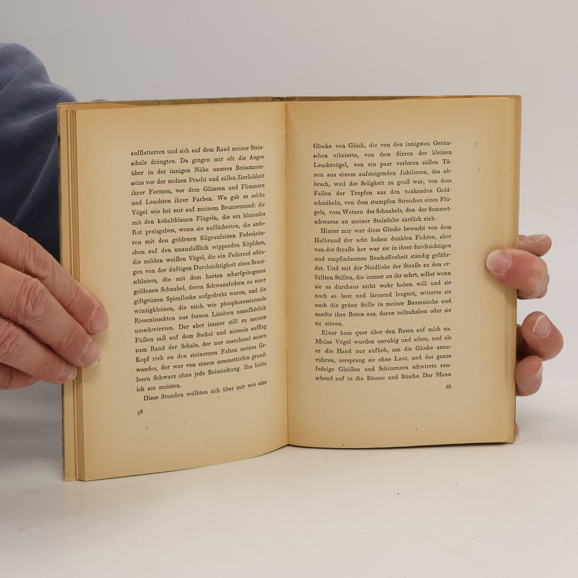 Frank Thiess Der schwarze Engel