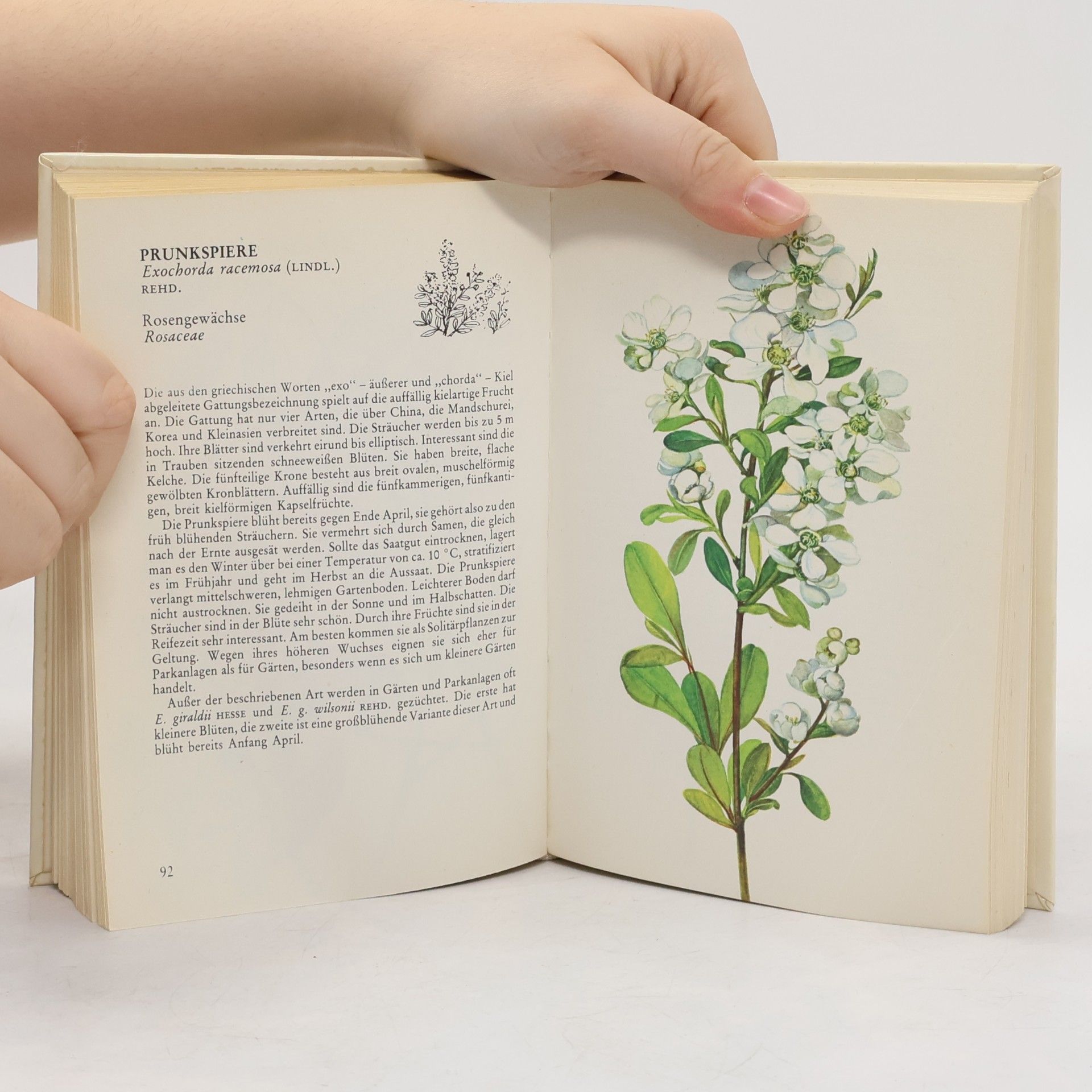 Jaroslav Hofman Taschenatlas der Ziersträucher