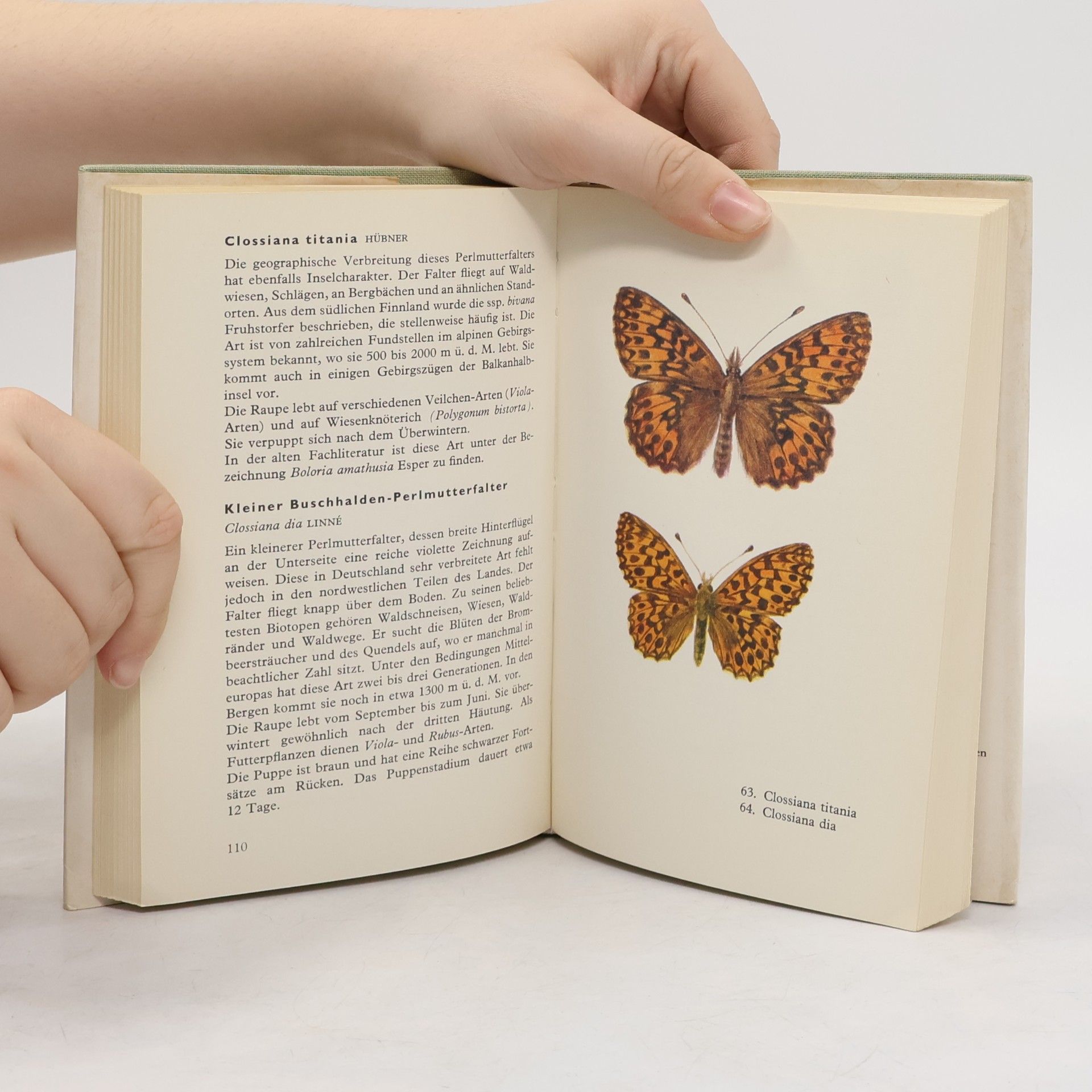 Josef Moucha Taschenatlas der Tagfalter