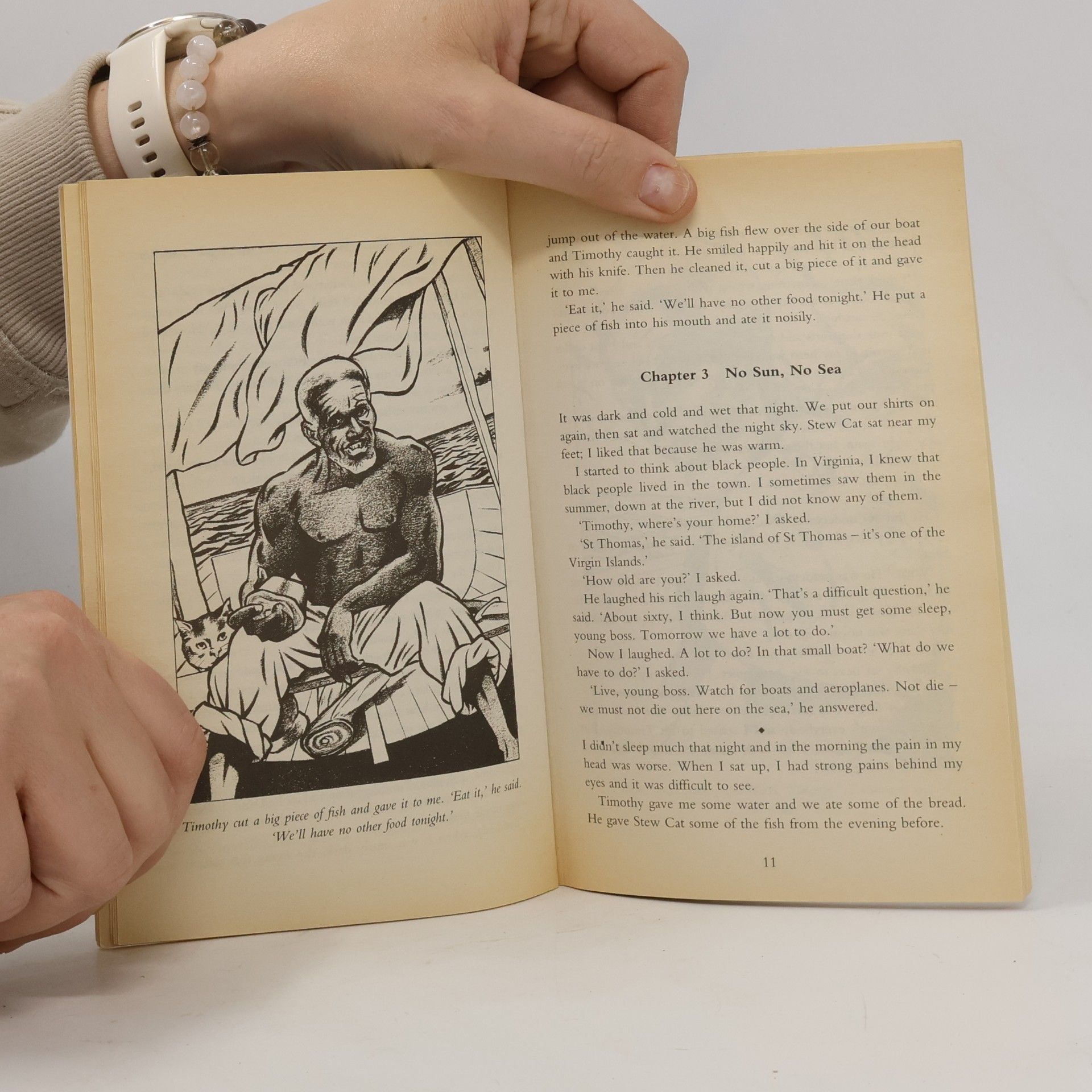 Theodore Taylor Penguin Readers - 2: The Cay