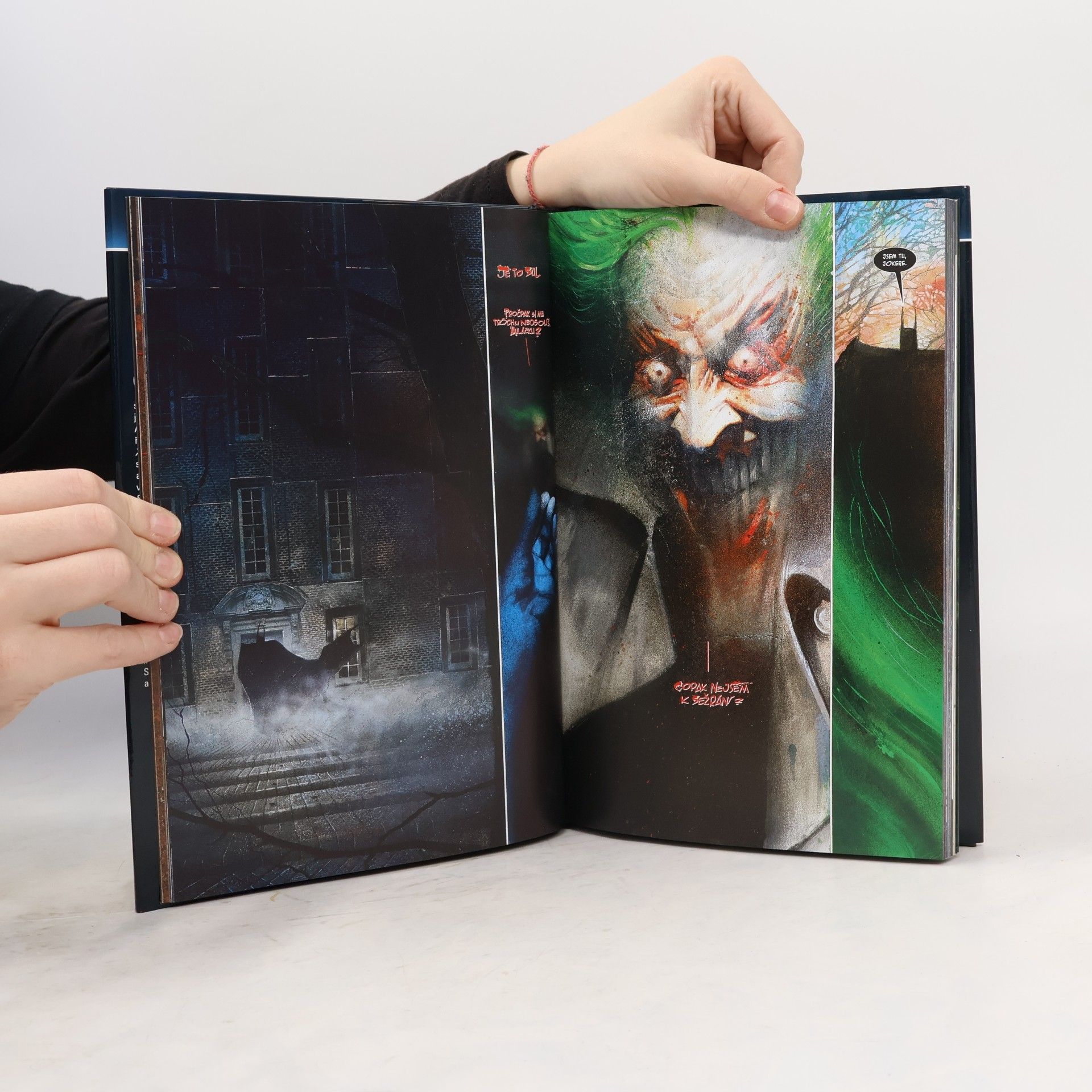 Grant Morrison Batman. Arkham : pochmurný dům v pochmurném světě