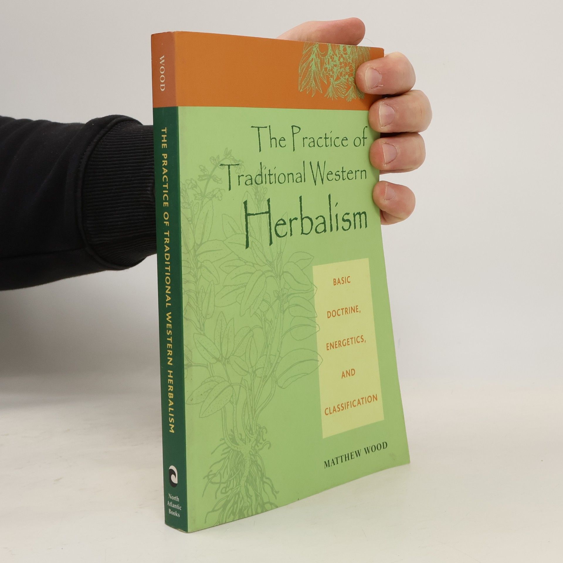 Matthew Wood The Practice of Traditional Western Herbalism