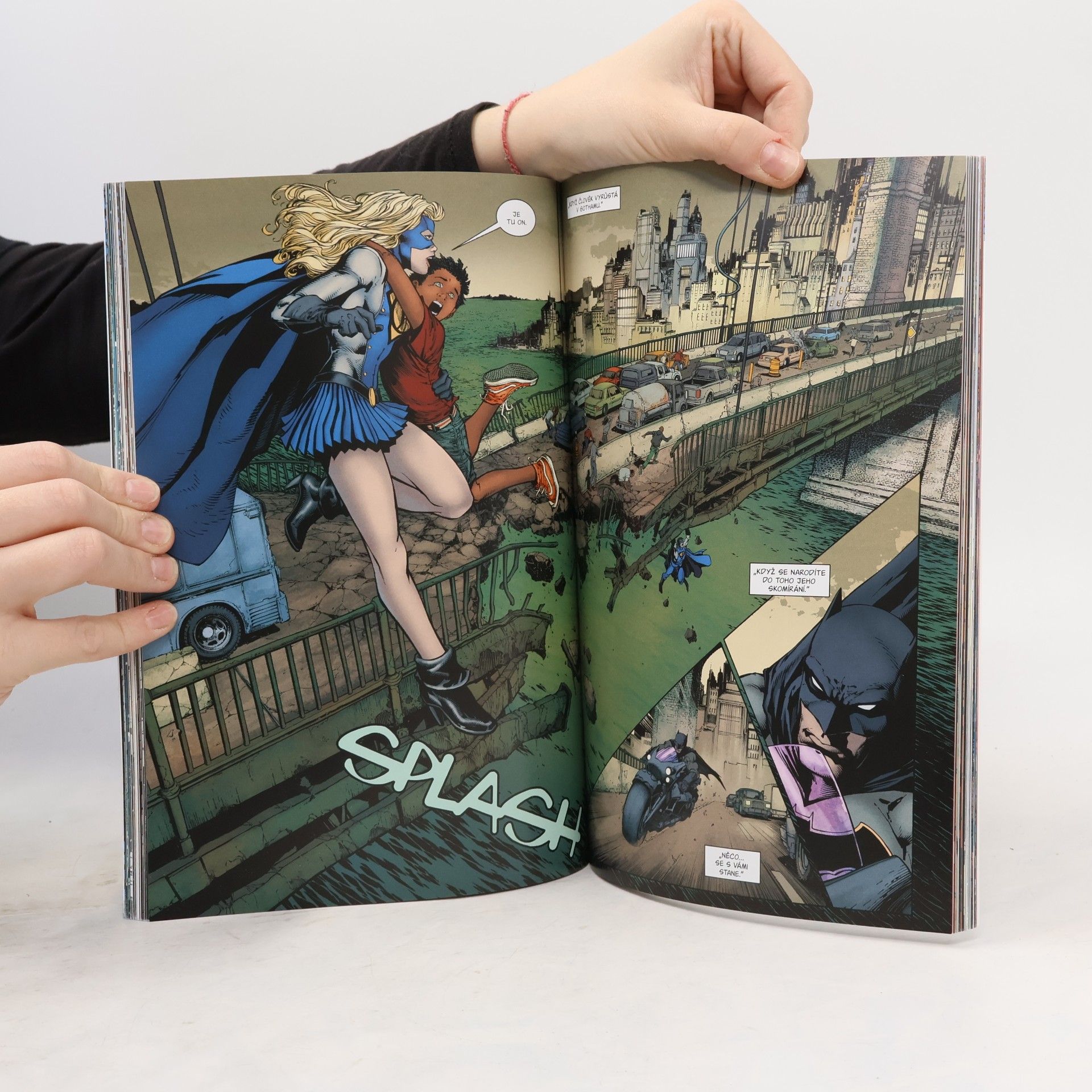 Kolektiv autorů Batman. 1. díl, Já jsem Gotham