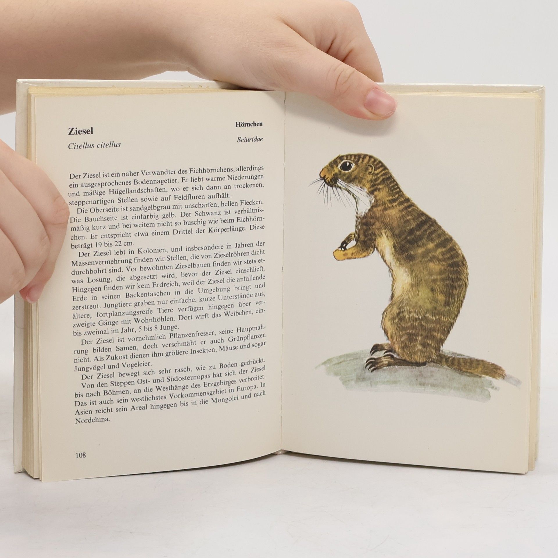 Jan Hanzák Taschenatlas der Säugetiere