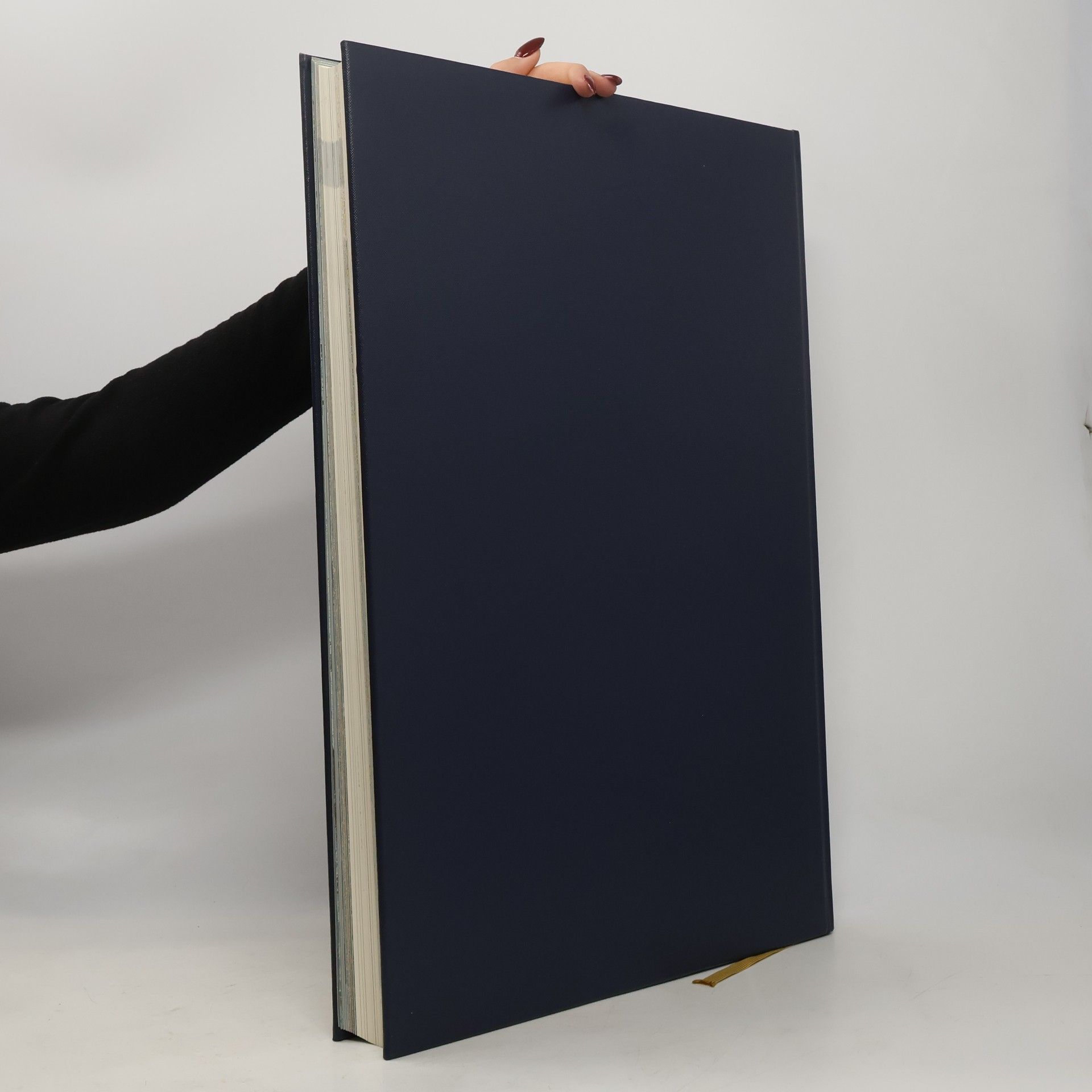 Iris Jeronimion The book of the World