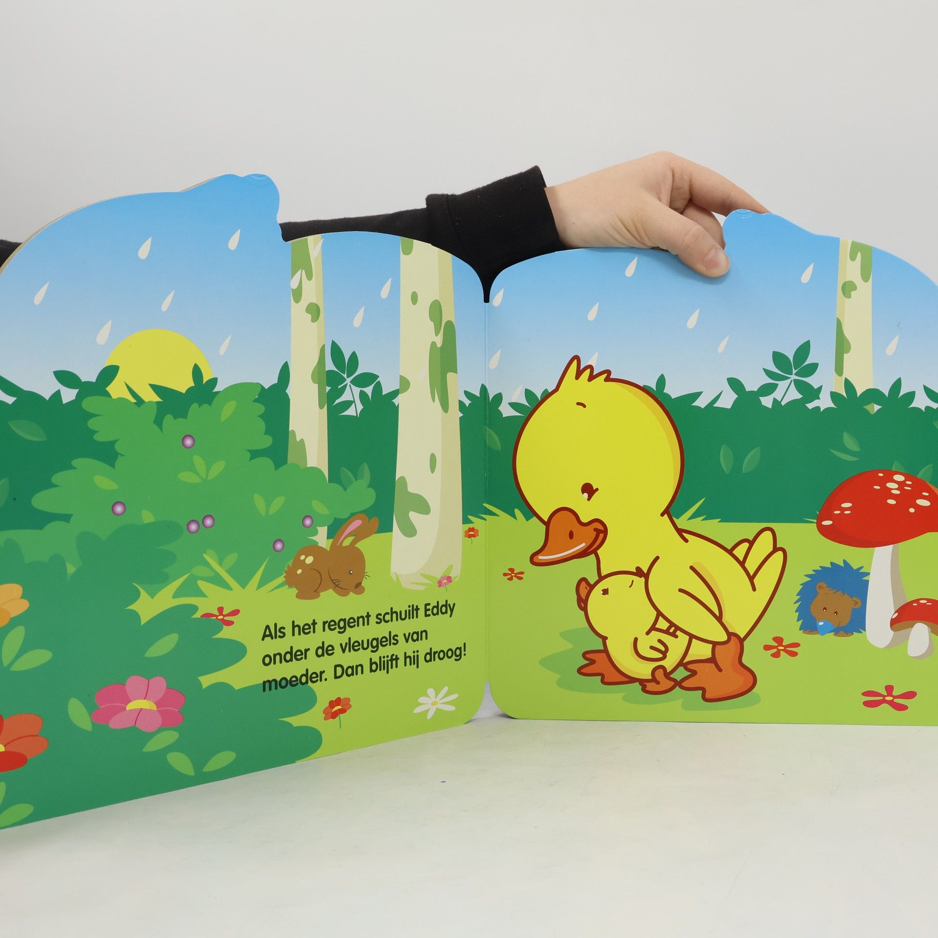 Mega Little Friends: Dinky the Duck