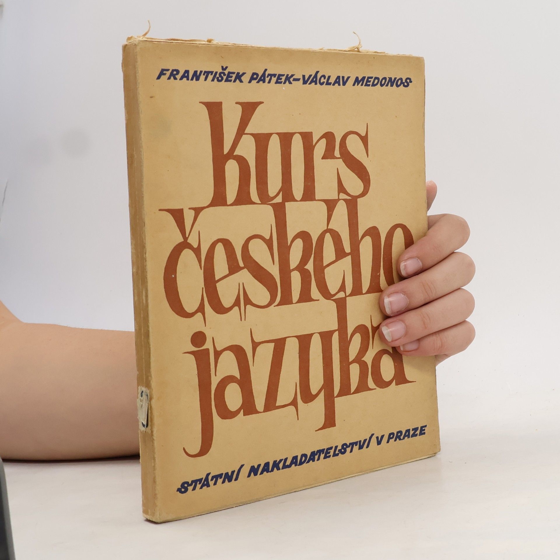 Kurs českého jazyka