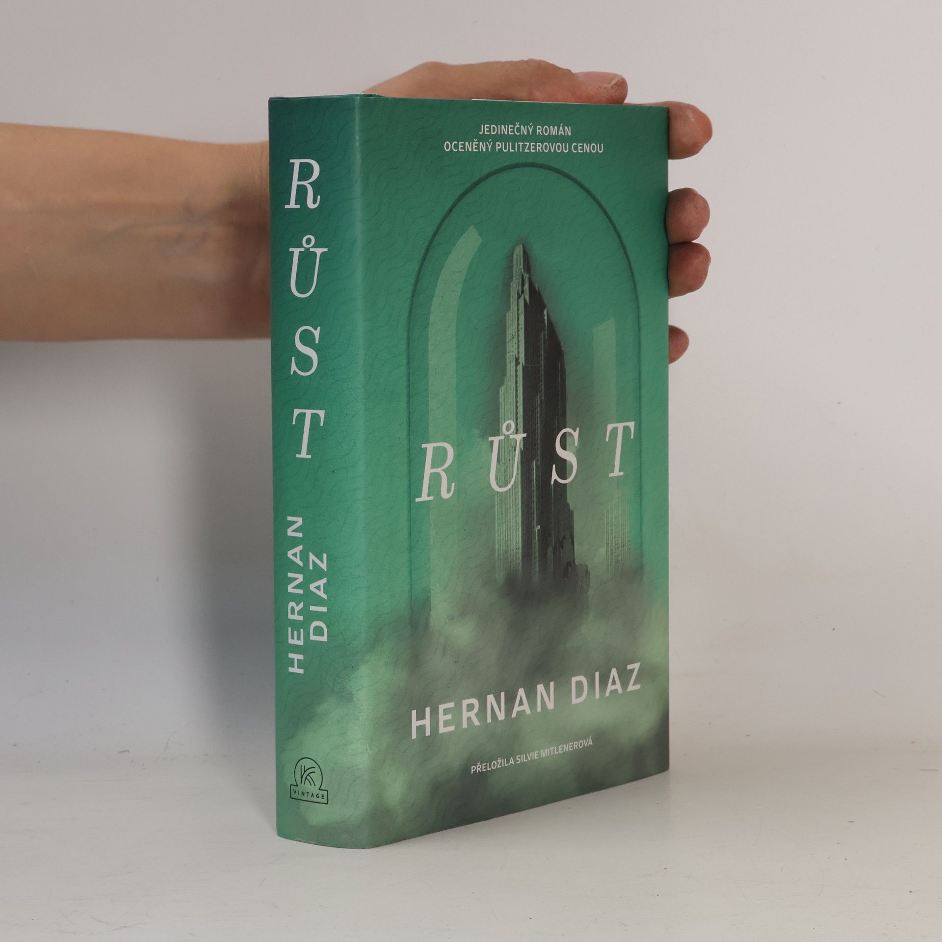 Hernán Díaz Růst