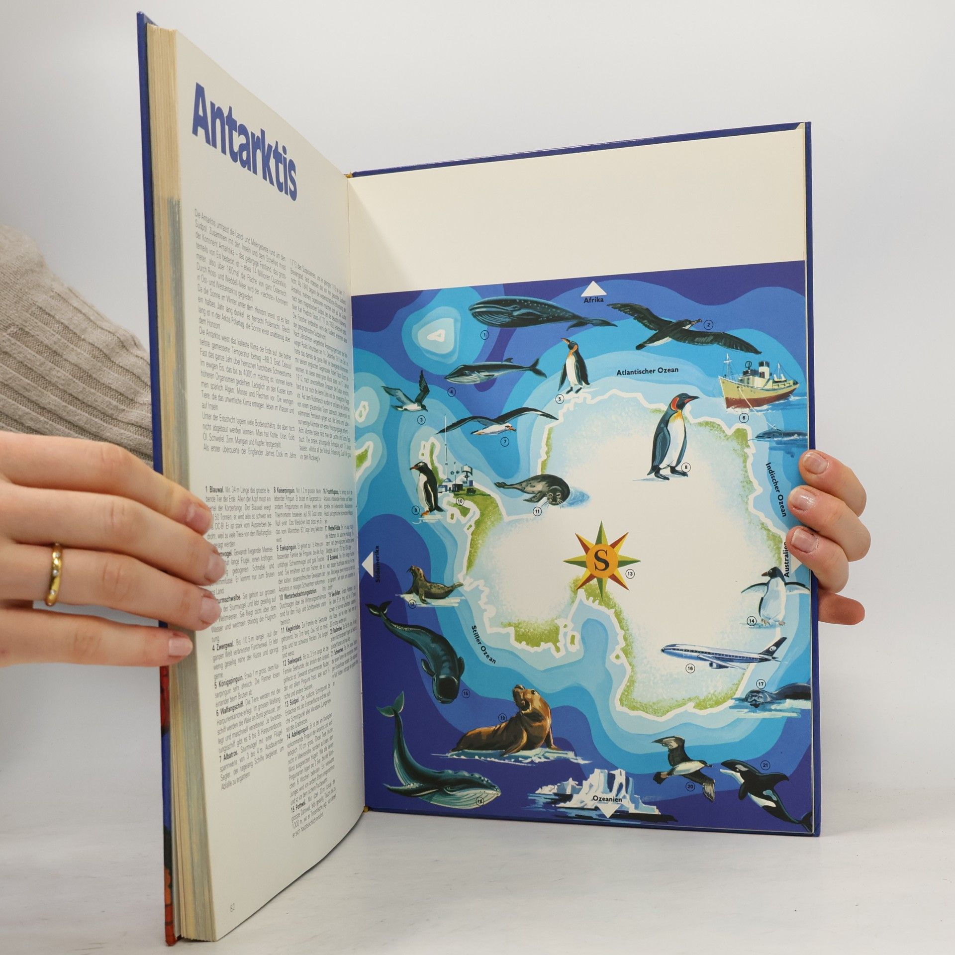 Autorenkollektiv Jugend Atlas