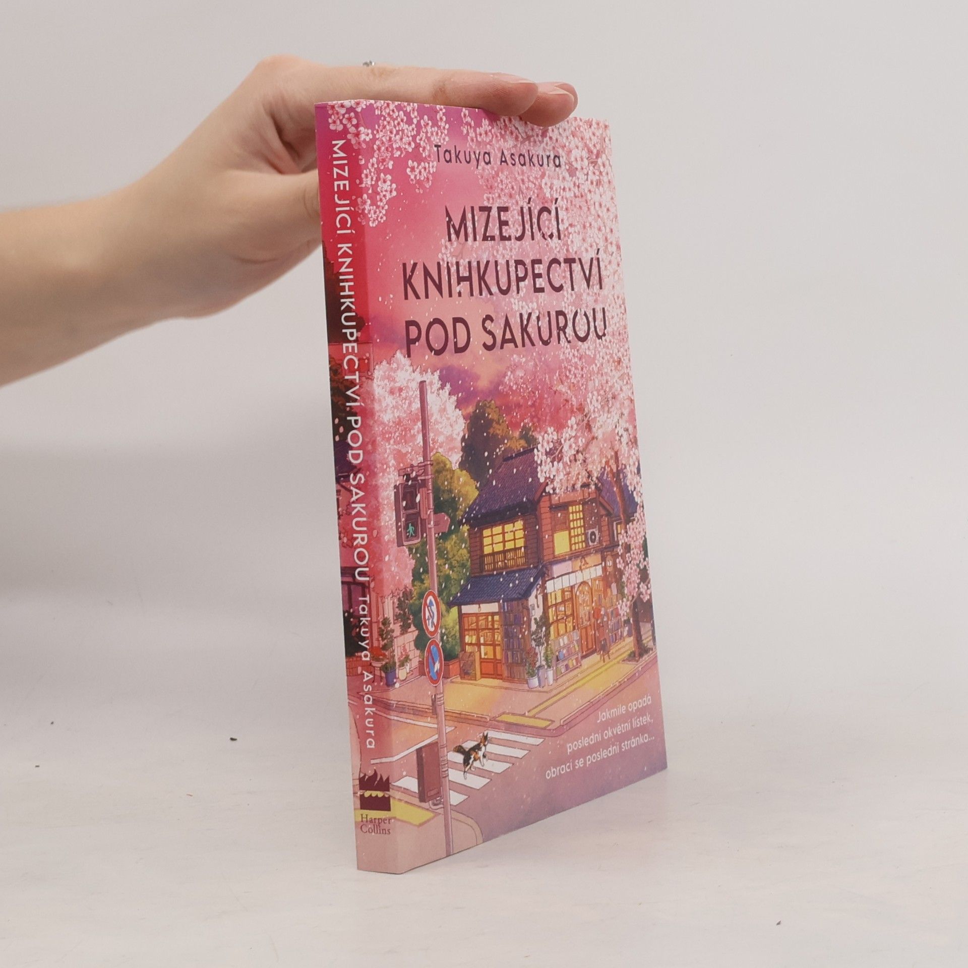 Knihkupectví pod kvetoucí sakurou